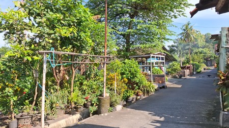 Tanah Luas 567 Meter Persegi Lokasi di Jalan Wates Sedayu 