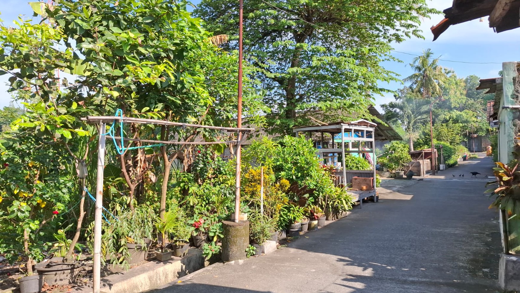 Tanah Luas 567 Meter Persegi Lokasi di Jalan Wates Sedayu
