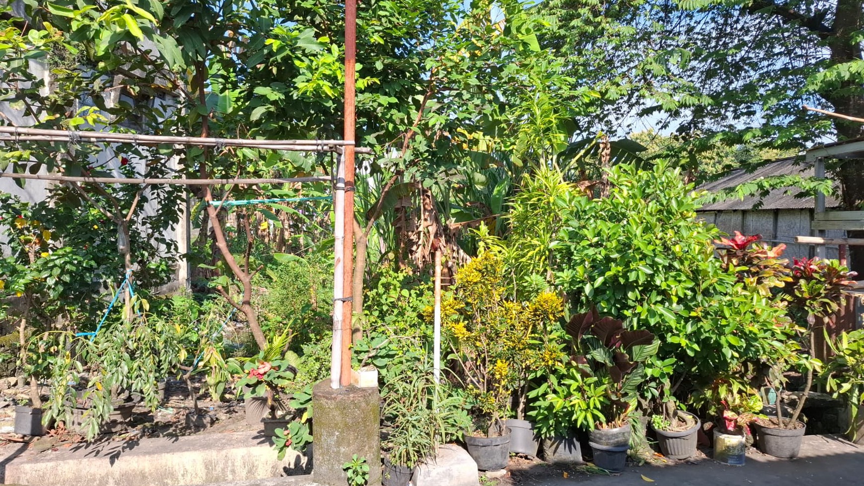 Tanah Luas 567 Meter Persegi Lokasi di Jalan Wates Sedayu
