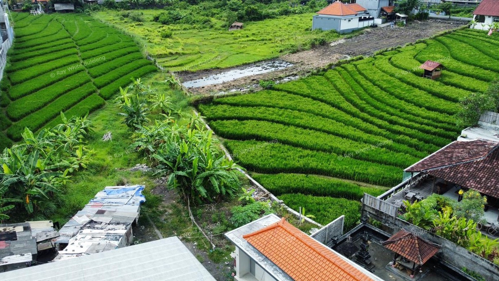 40 Are, 10 Are, For Leasehold Sale in Central Canggu