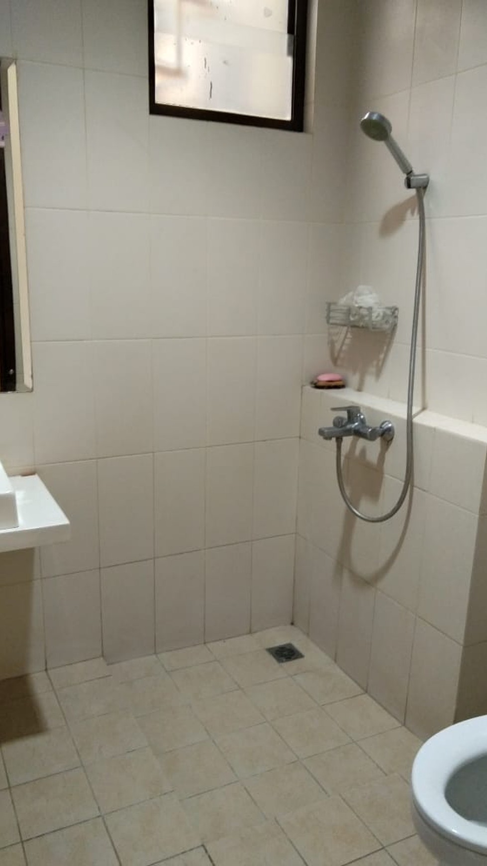Rumah Asri Disewakan di Kawasan BSD Green Cove