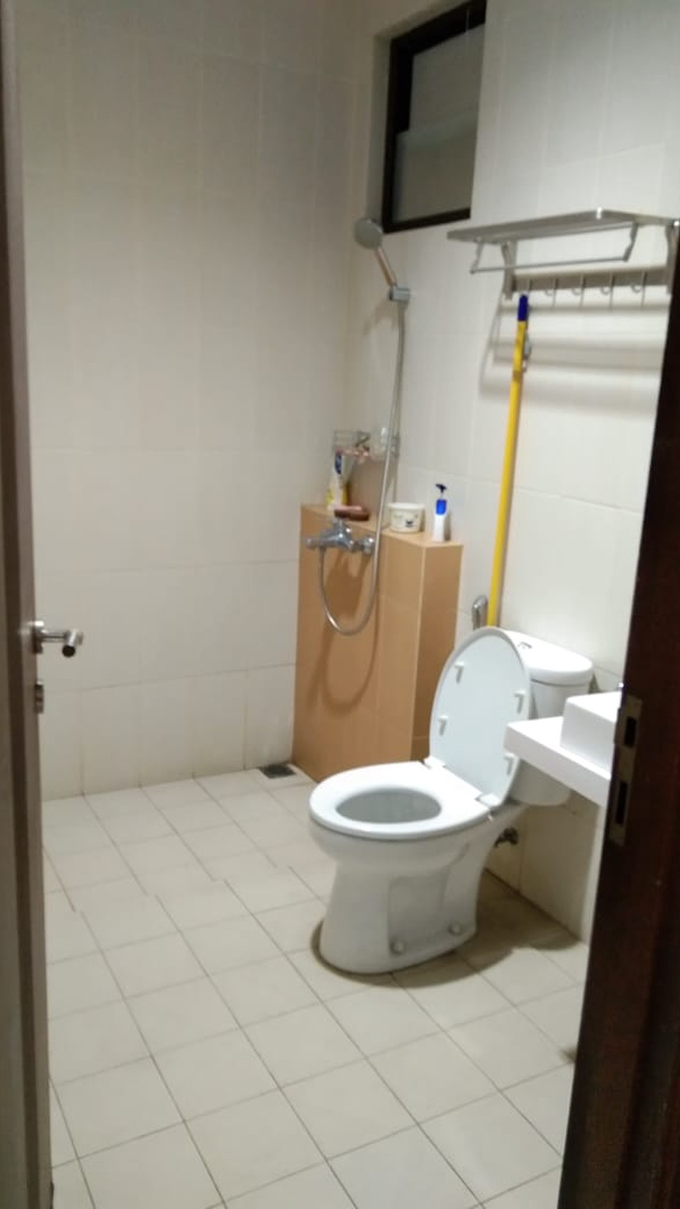 Rumah Asri Disewakan di Kawasan BSD Green Cove