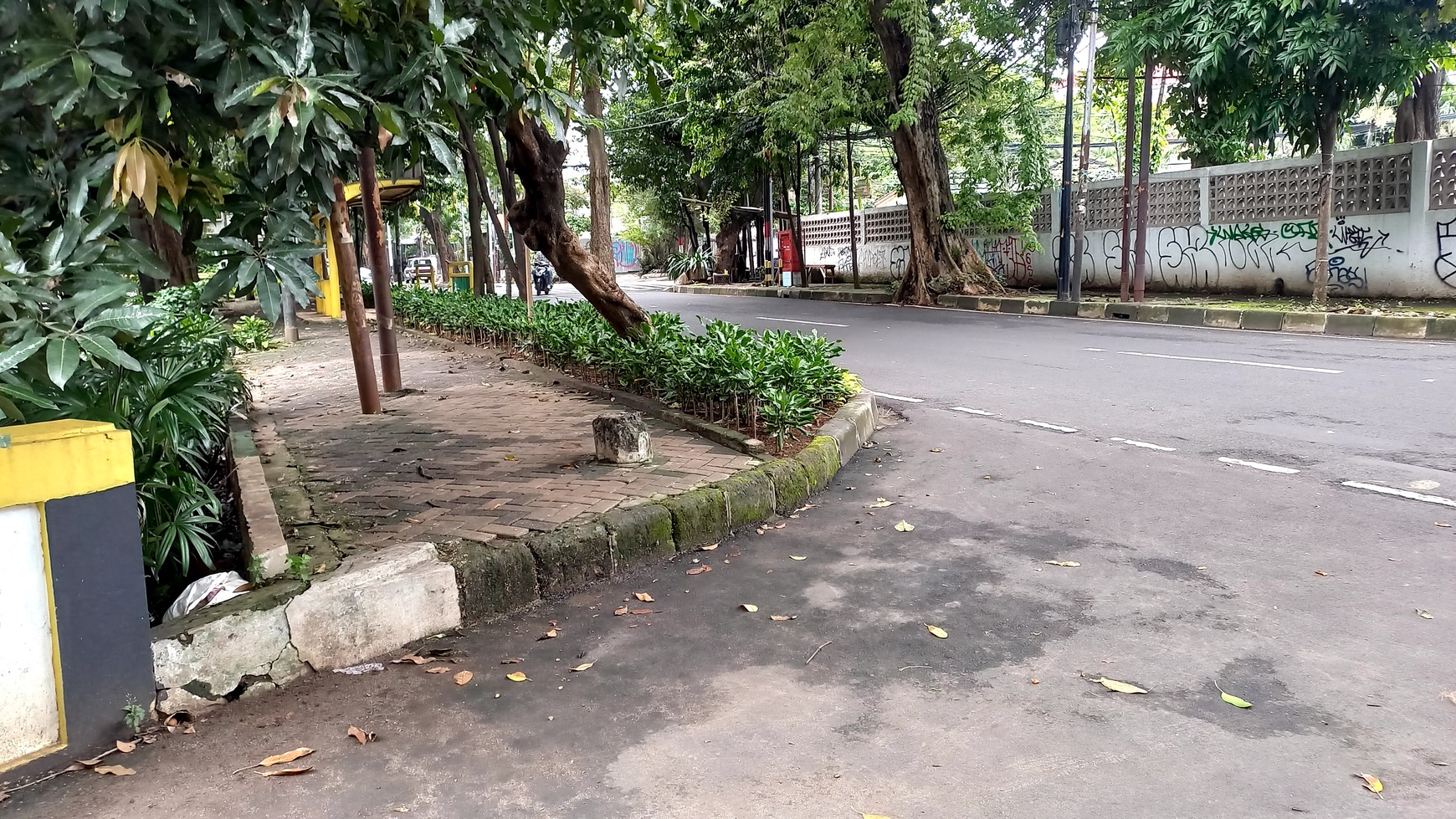 Dijual Tanah murah di Menteng Jakarta Pusat