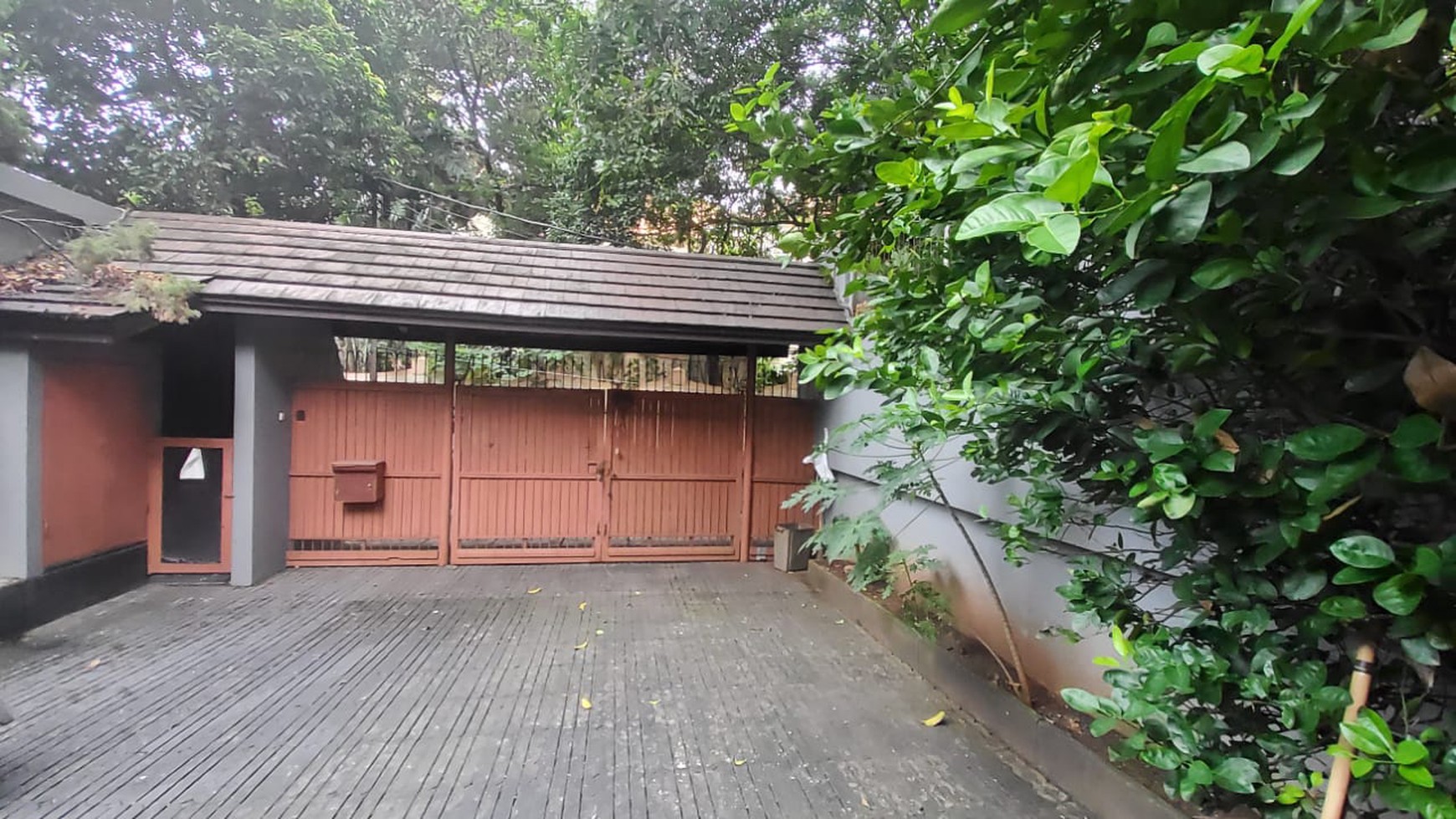 Rumah Asri dan Nyaman Nuansa Alam Lokasi Strategis di Cipete Selatan 