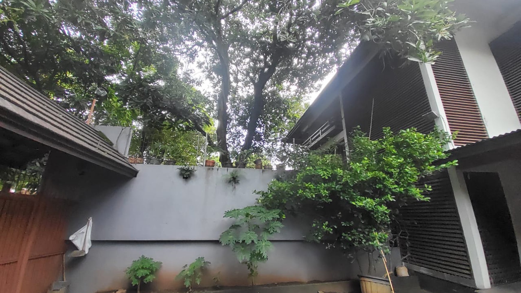 Rumah Asri dan Nyaman Nuansa Alam Lokasi Strategis di Cipete Selatan 