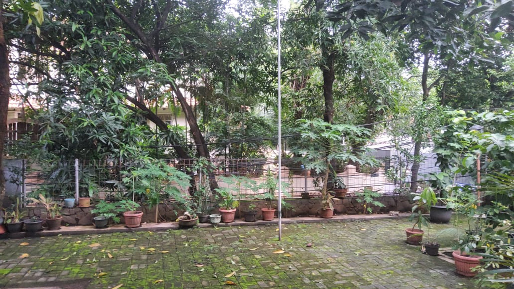 Rumah Asri dan Nyaman Nuansa Alam Lokasi Strategis di Cipete Selatan 