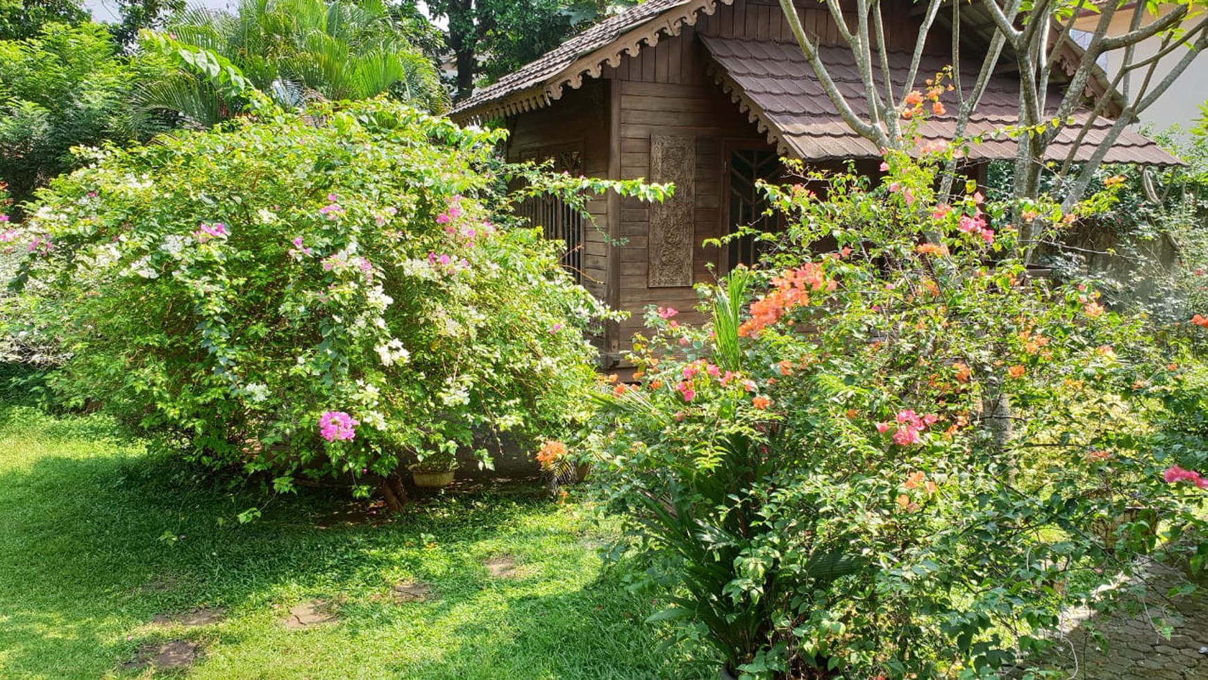 Rumah Asri, Nyaman & Luas di Cilandak Barat, Jakarta Selatan.