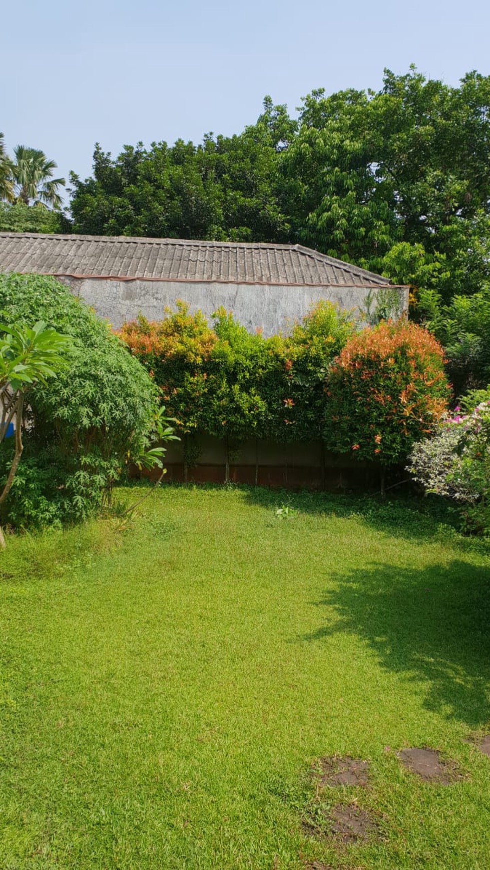 Rumah Asri, Nyaman & Luas di Cilandak Barat, Jakarta Selatan.