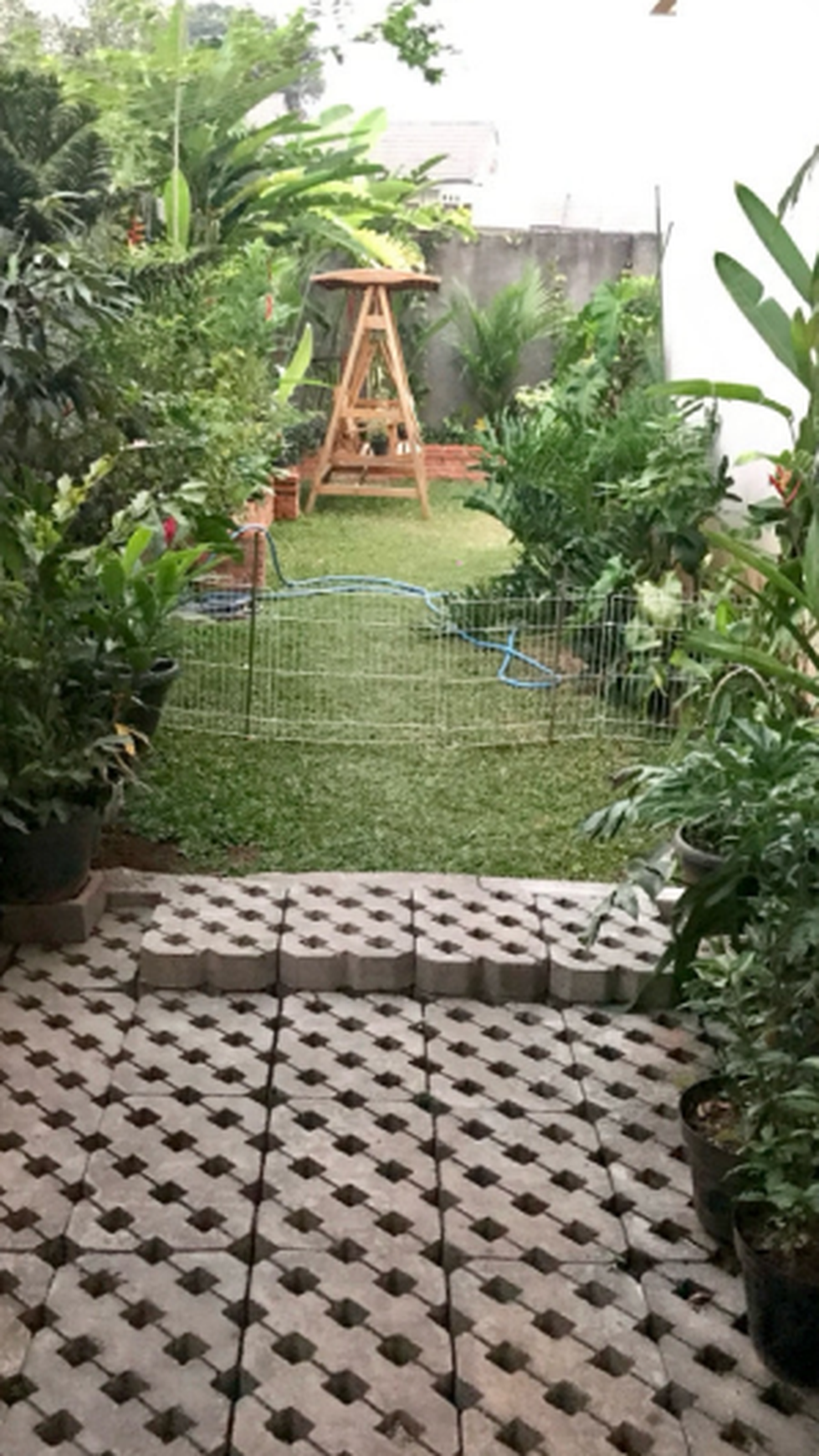Rumah Tropical Homey Semi Furnished 5 Menit ke MRT Lebak Bulus