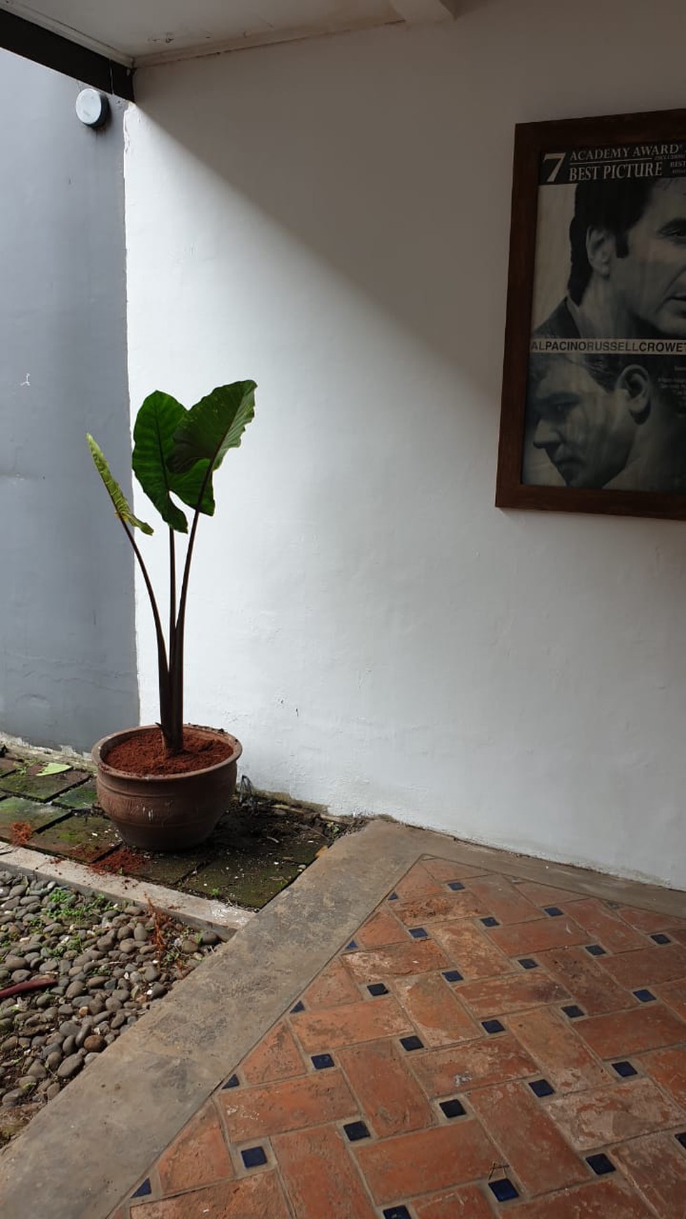 Rumah Asri & Cantik lingkungan Nyaman di Cipete Utara