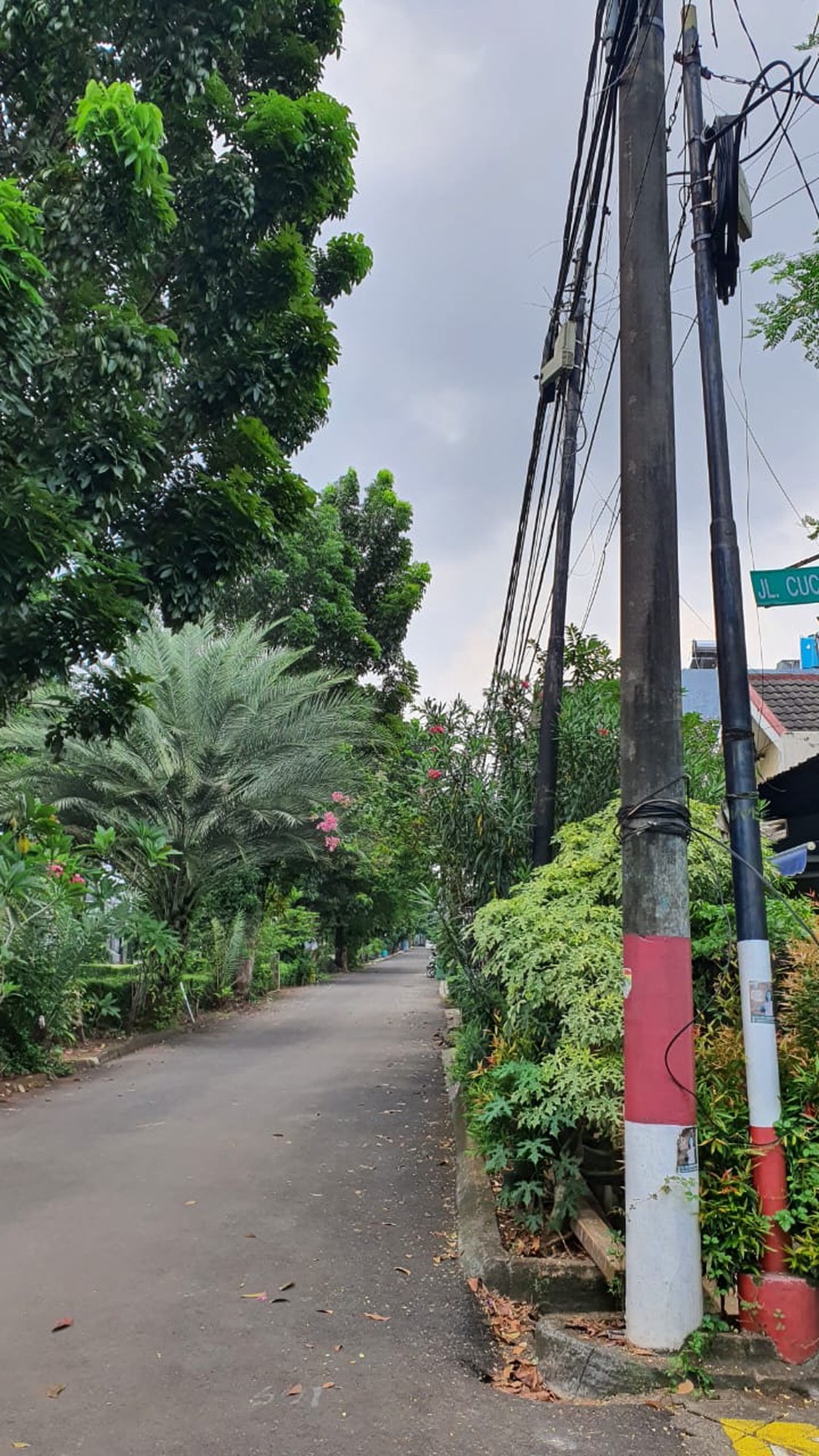 Rumah Siap Huni dengan Hunian Nyaman dan Asri di Bintaro Jaya.