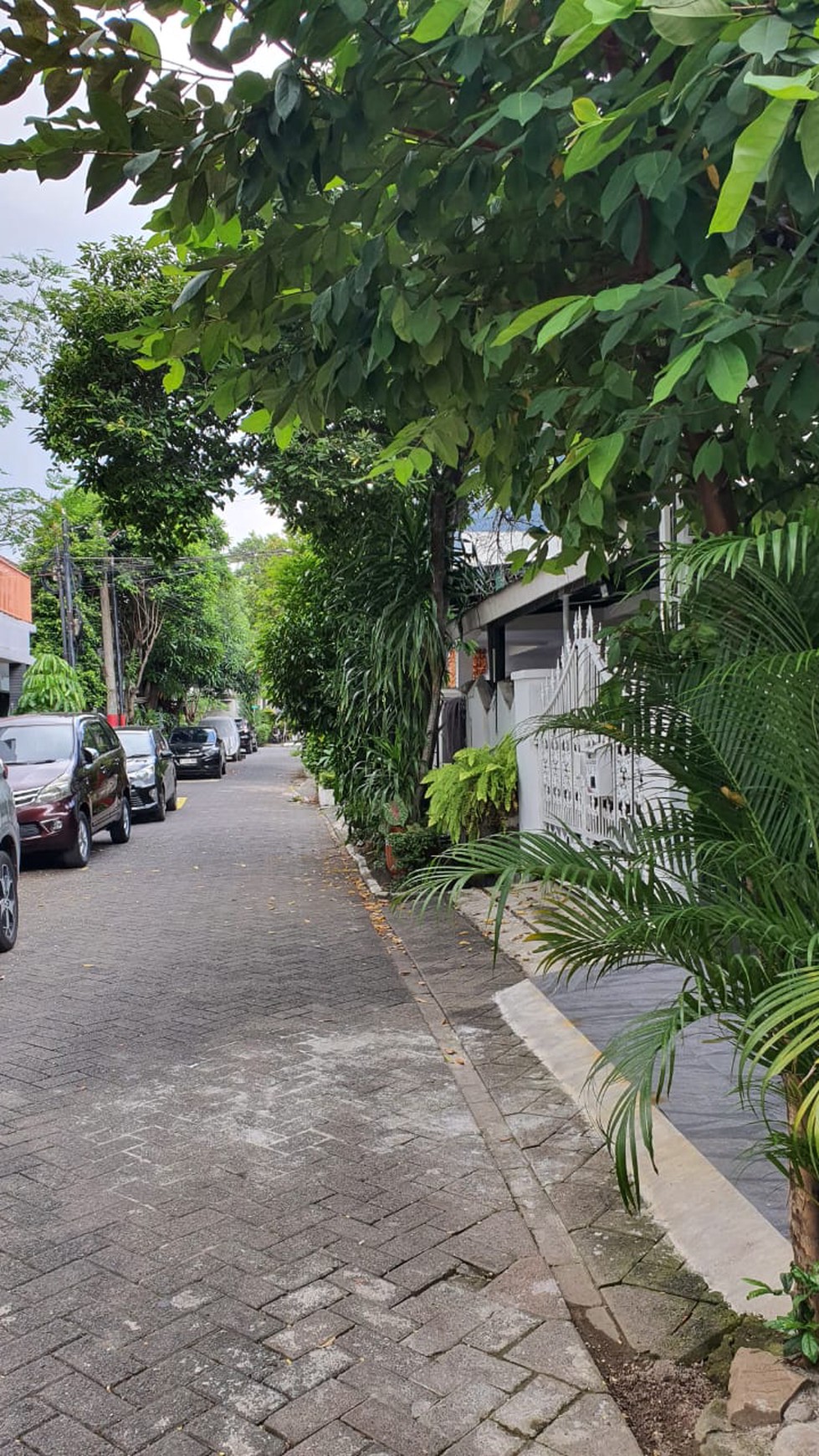 Rumah Siap Huni dengan Hunian Nyaman dan Asri di Bintaro Jaya.