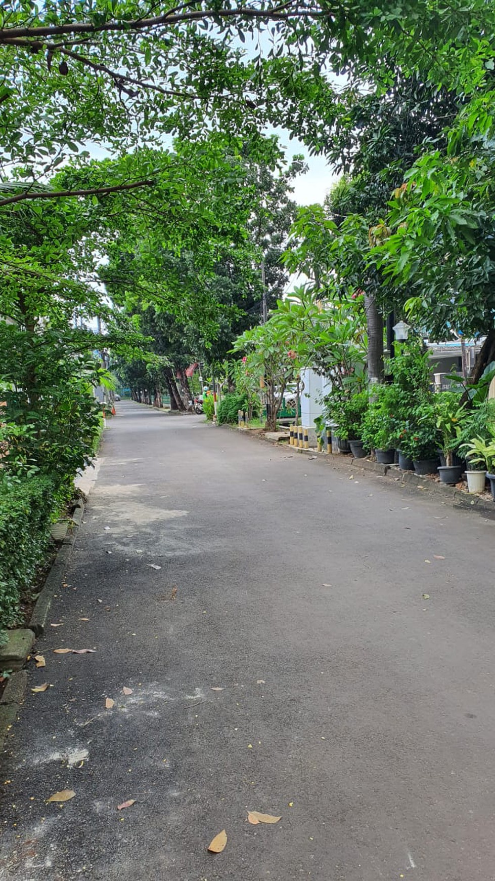 Rumah Siap Huni dengan Hunian Nyaman dan Asri di Bintaro Jaya.