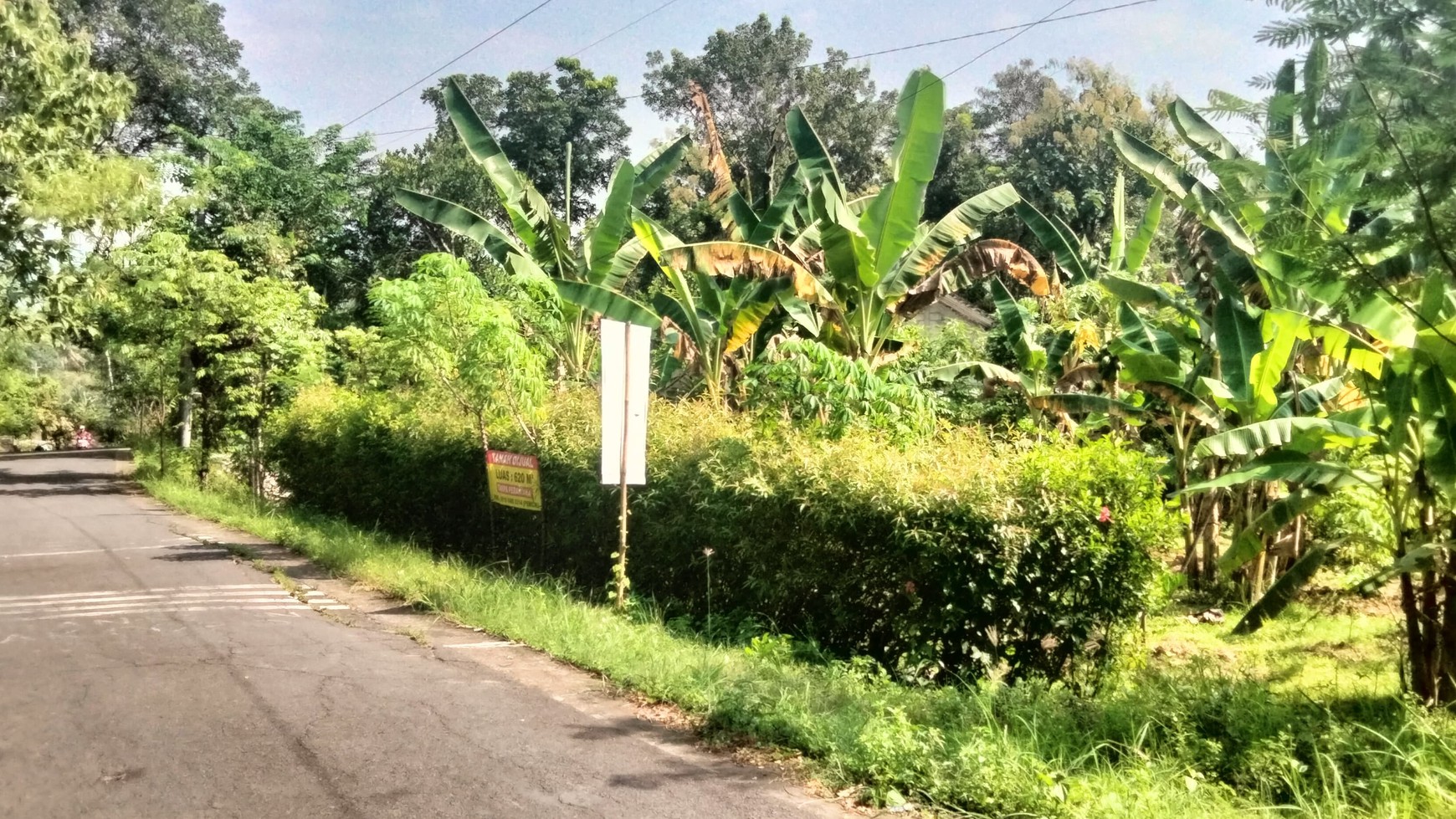 Tanah Pekarangan dengan Luas 620 Meter Persegi Lokasi Wates Kulon Progo.