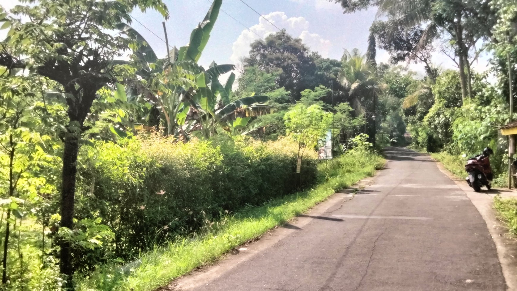 Tanah Pekarangan dengan Luas 620 Meter Persegi Lokasi Wates Kulon Progo.