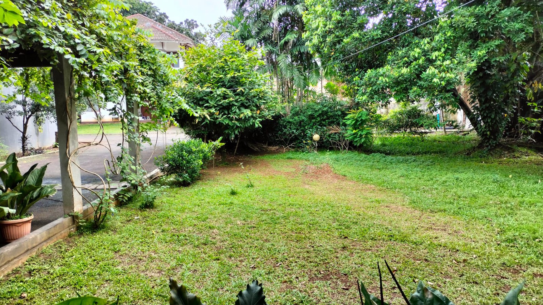 Rumah Klasik Asri dan Nyaman Luas Tanah 2585m2 di Area Pejaten Barat