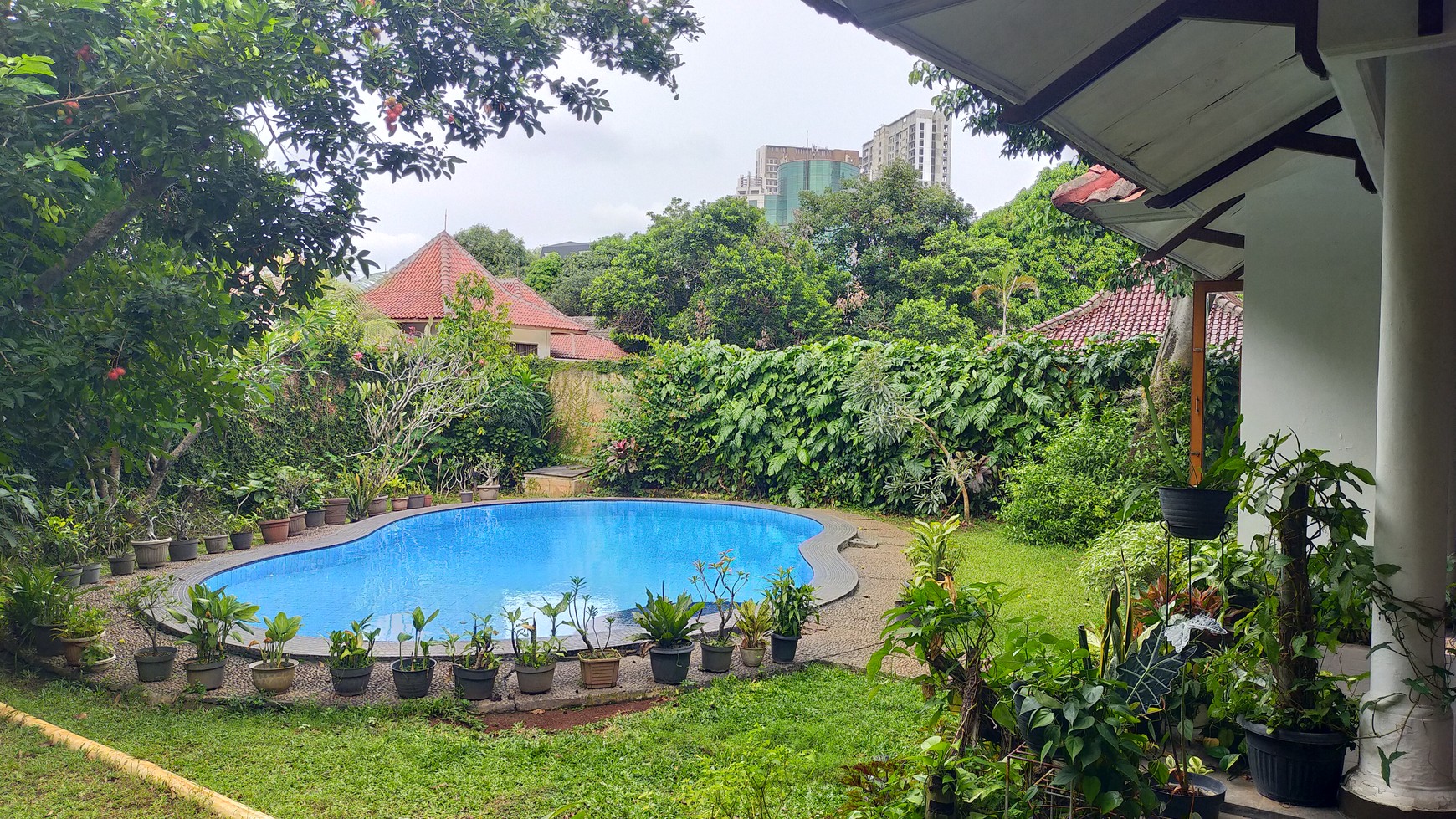 Rumah Klasik Asri dan Nyaman Luas Tanah 2585m2 di Area Pejaten Barat