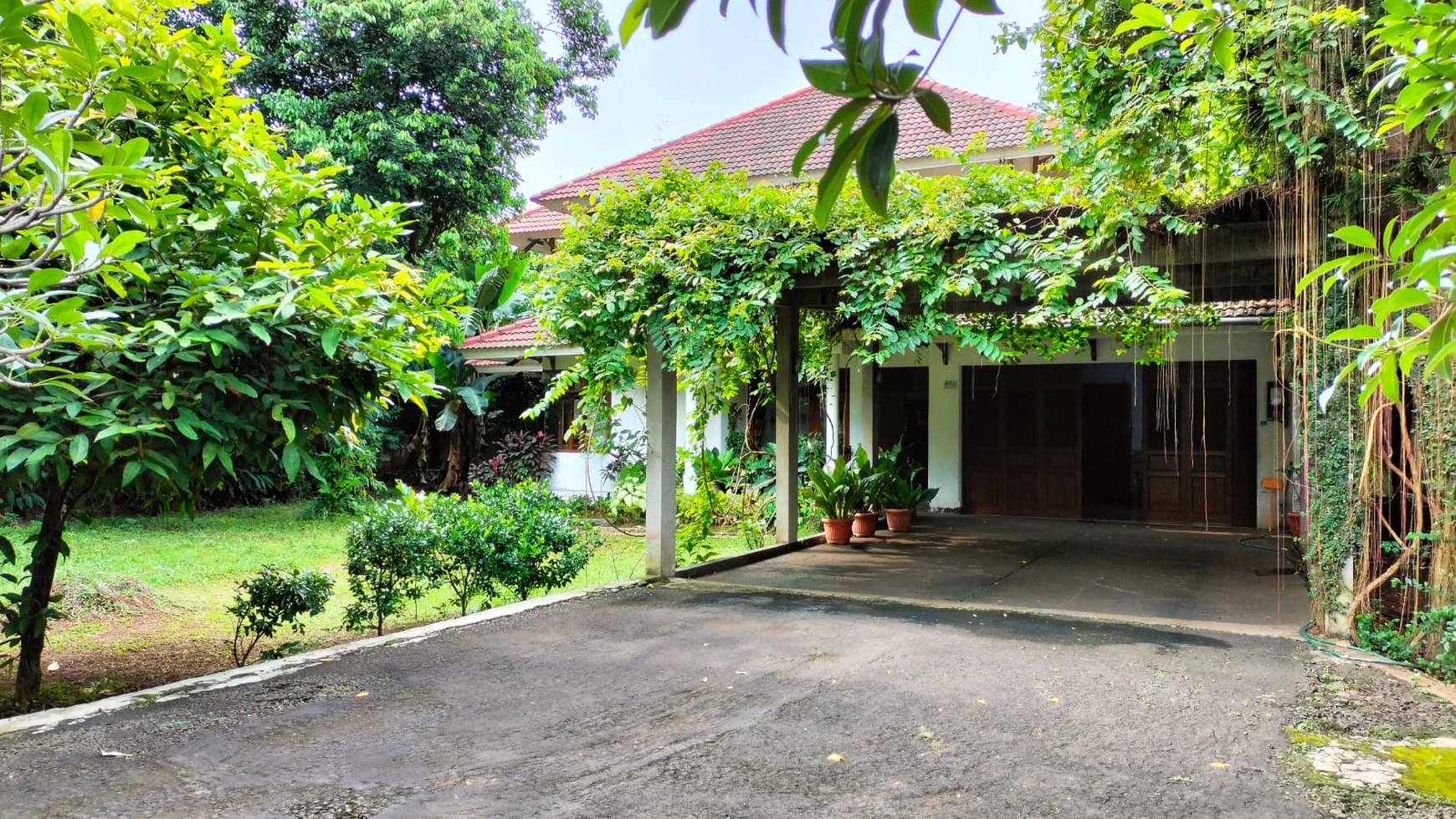 Rumah Klasik Asri dan Nyaman Luas Tanah 2585m2 di Area Pejaten Barat