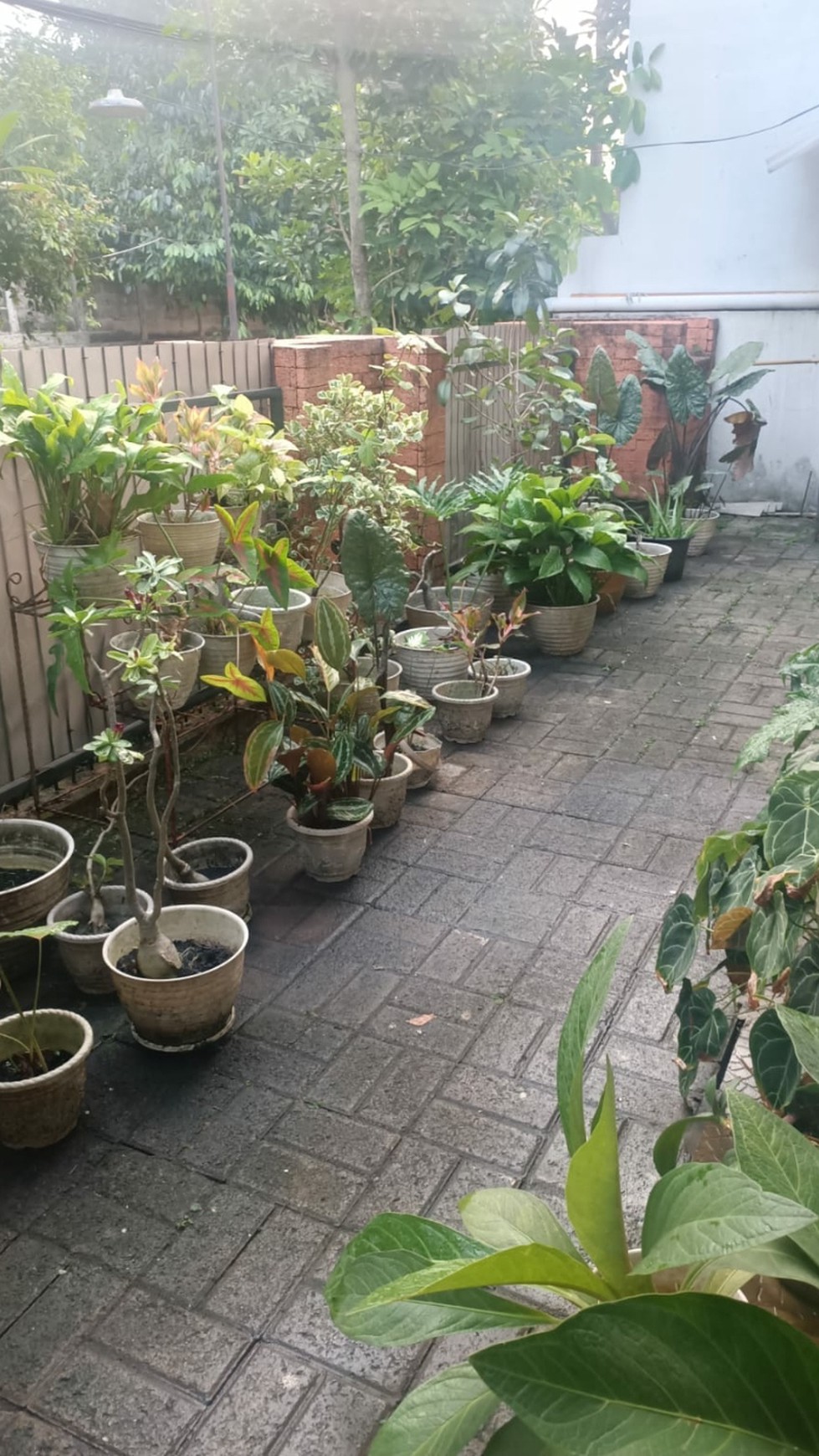 Harga bagus untuk Rumah dalam perumahan nyaman bersih Sektor 3A Bintaro