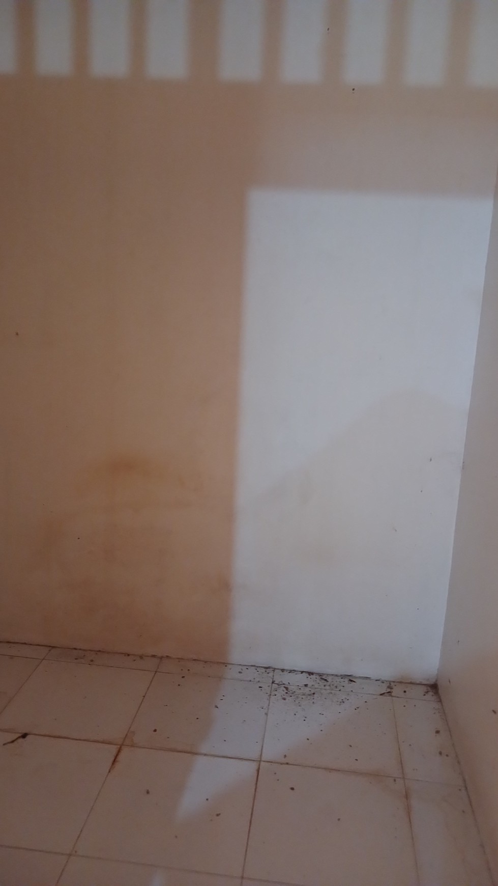 Rumah Lama siap huni dalam komplek yang asri dan nyaman Petukangan Pesanggrahan.