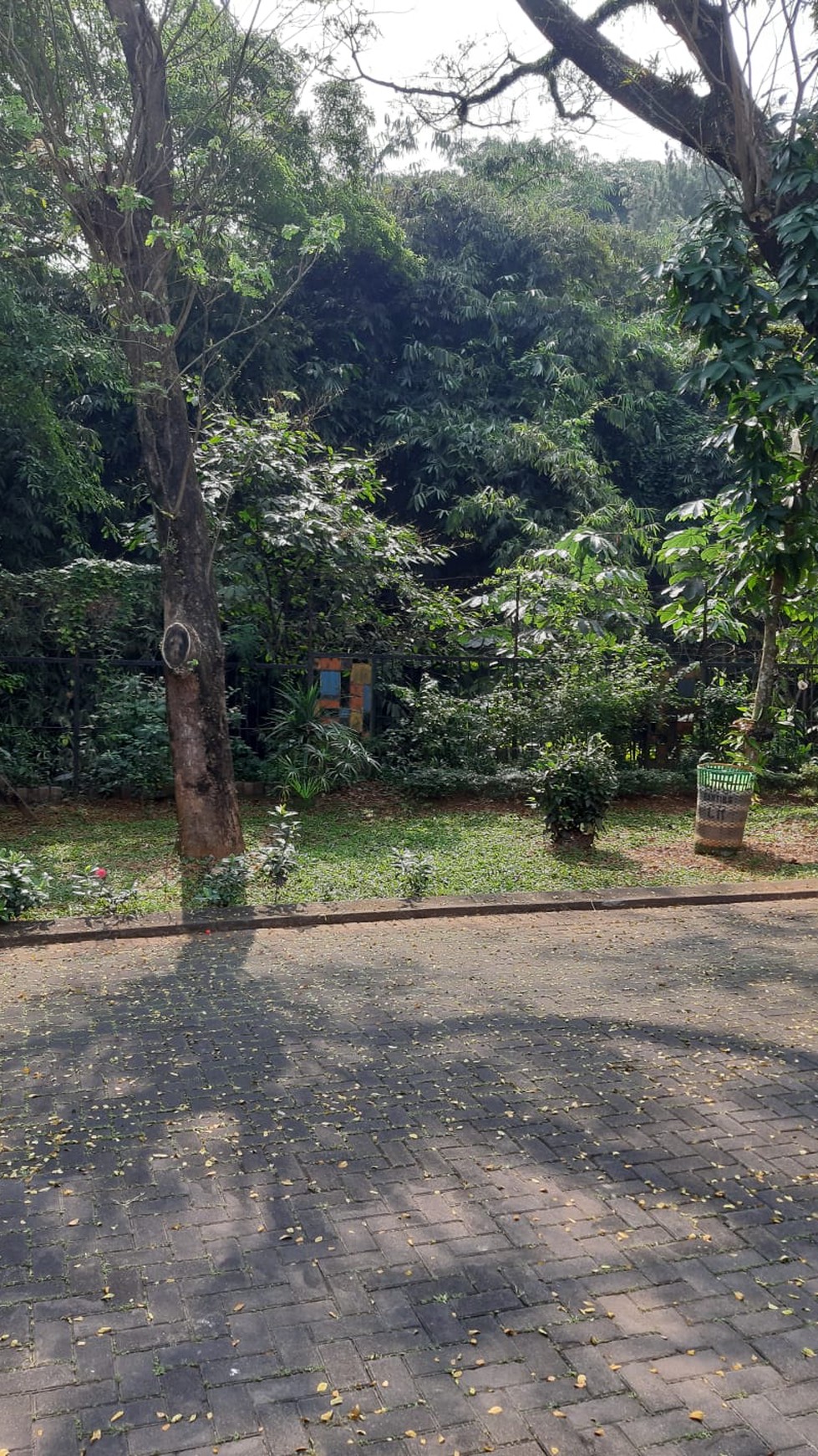 Rumah Siap Huni dengan Hunian Nyaman dan Asri di @BSD