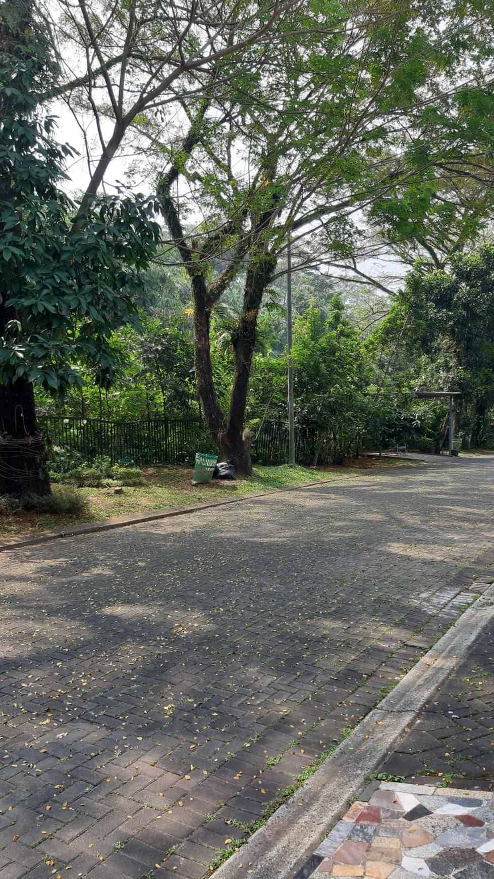 Rumah Siap Huni dengan Hunian Nyaman dan Asri di @BSD
