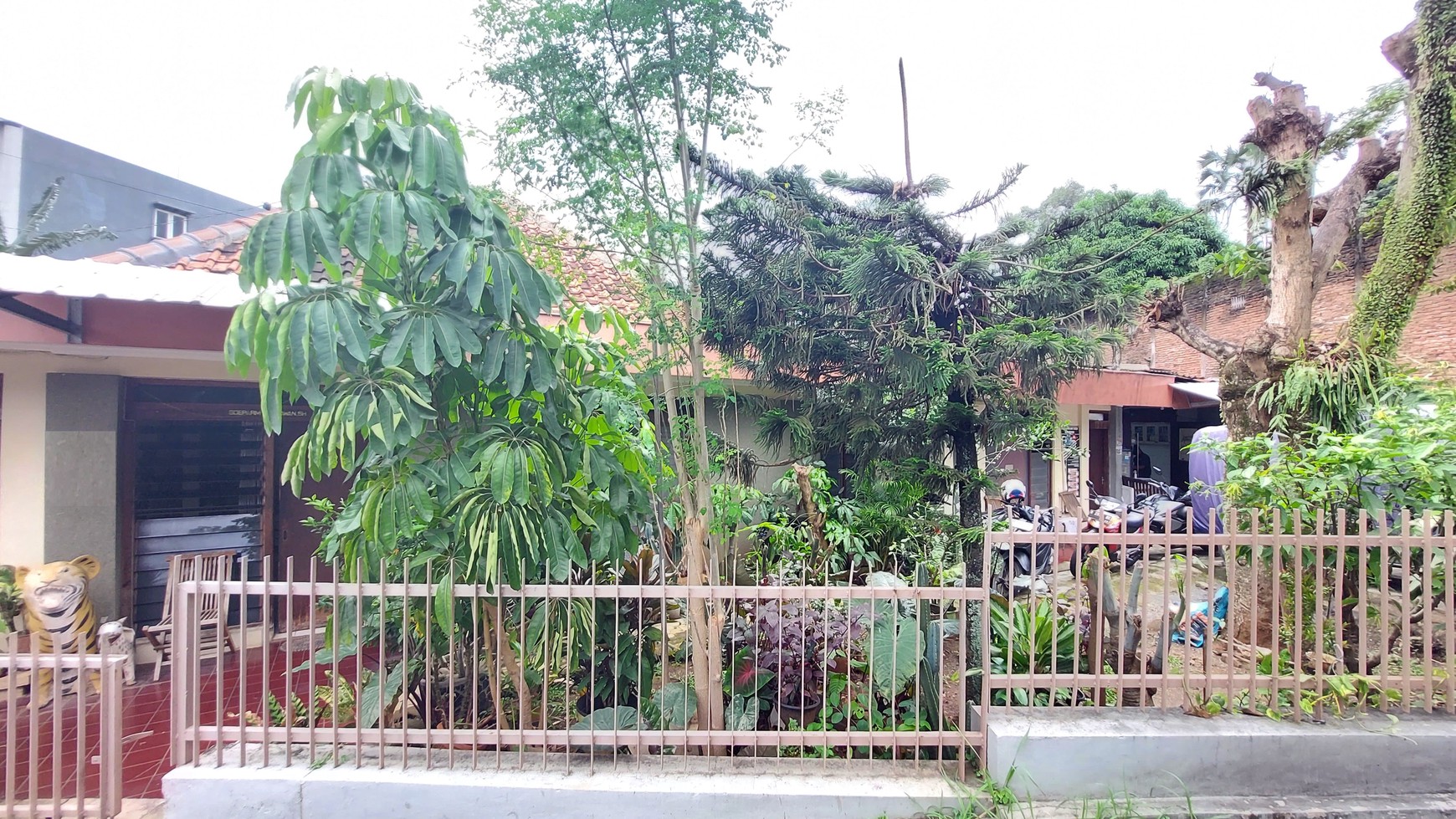 Rumah Asri, halaman luas di Semarang