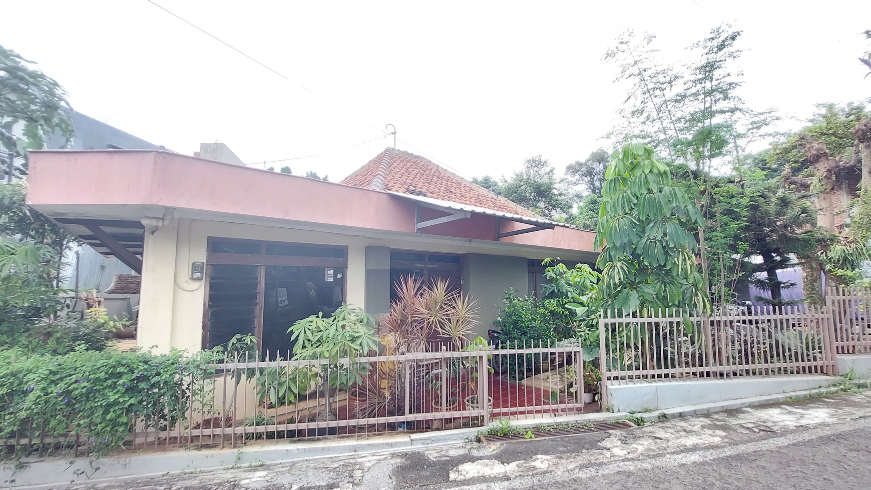 Rumah Asri, halaman luas di Semarang