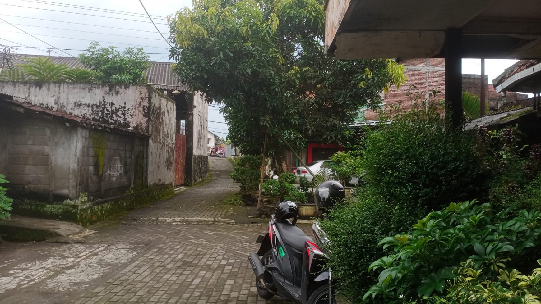 Rumah Luas Dekat Kampus Univ. Muhammadiyah Magelang, Mertoyudan