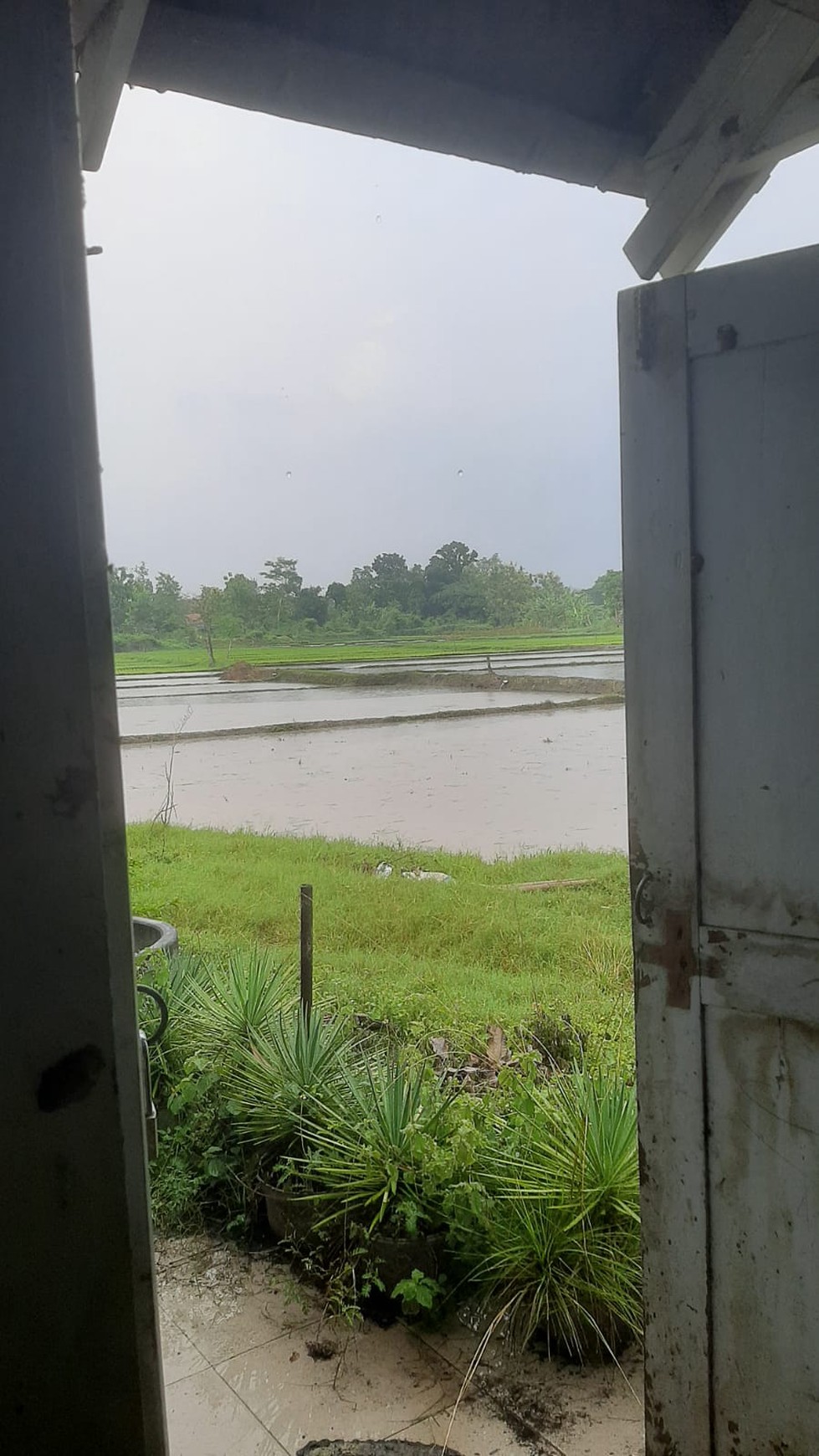 Rumah Lokasi Strategis Dekat Stadion Sultan Agung Sumberagung Jetis Bantul