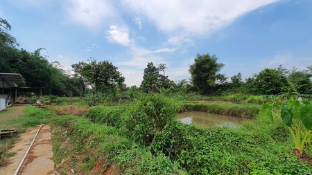 Kavling Terdapat Empang (Pemancingan) @Jl Raya Tegar Beriman Tajur Halang, Bogor