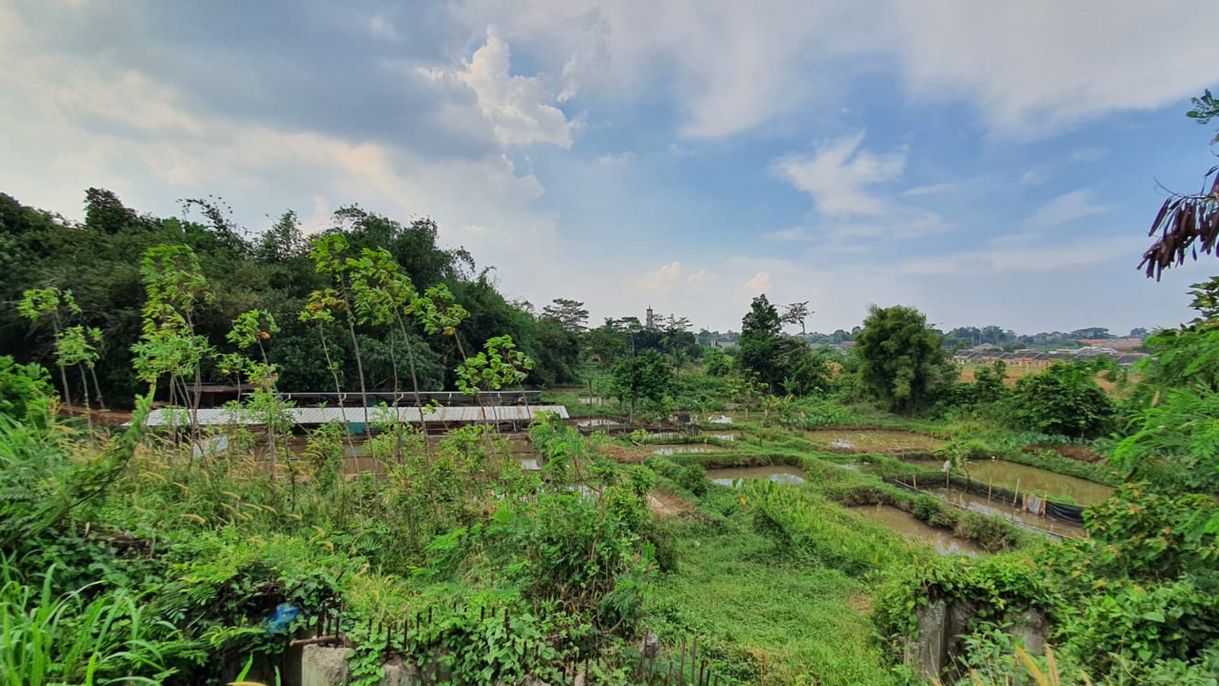 Kavling Terdapat Empang (Pemancingan) @Jl Raya Tegar Beriman Tajur Halang, Bogor