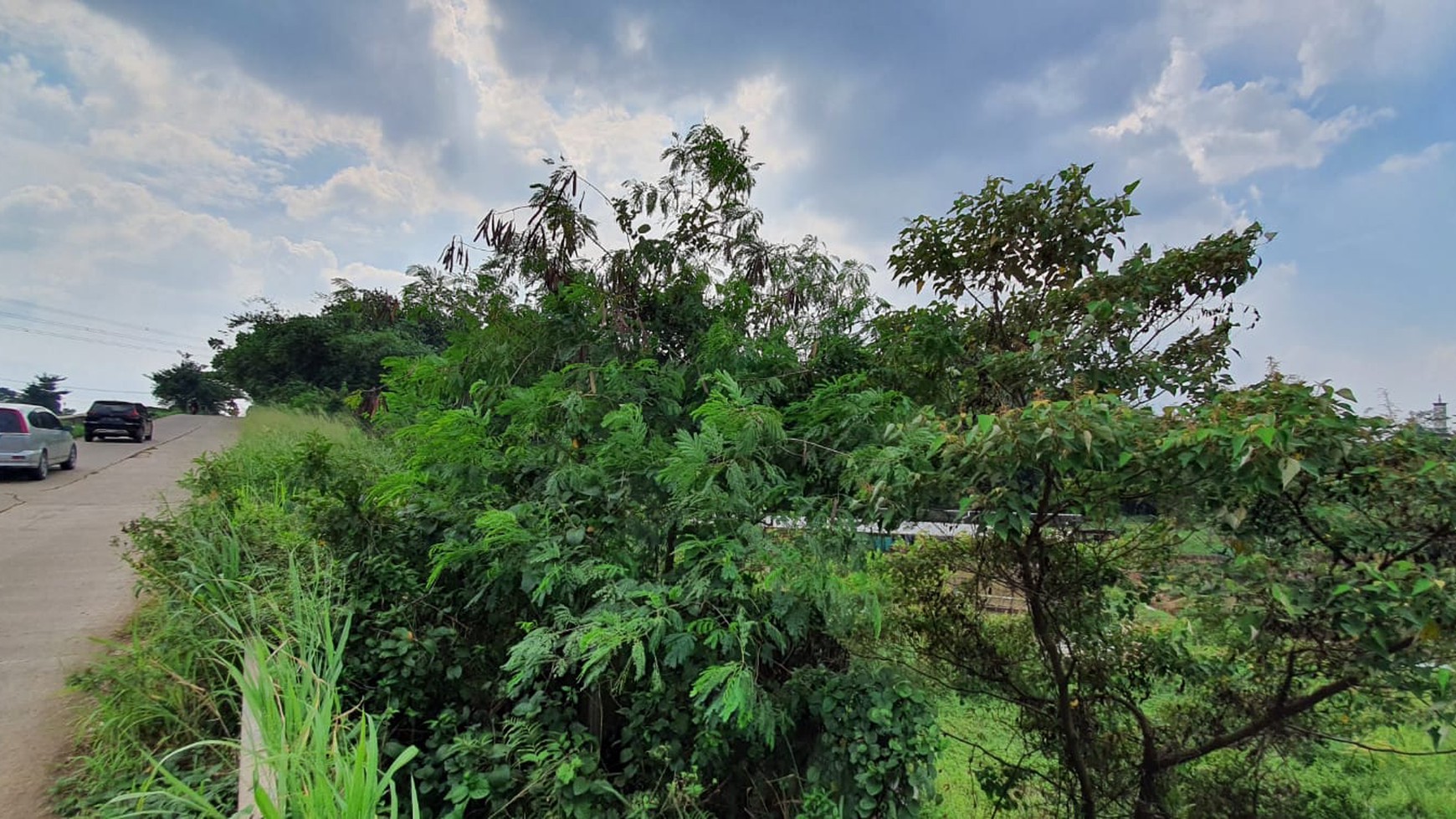 Kavling Terdapat Empang (Pemancingan) @Jl Raya Tegar Beriman Tajur Halang, Bogor