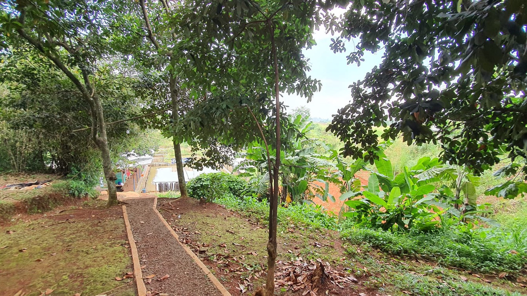 Kavling Terdapat Empang (Pemancingan) @Jl Raya Tegar Beriman Tajur Halang, Bogor