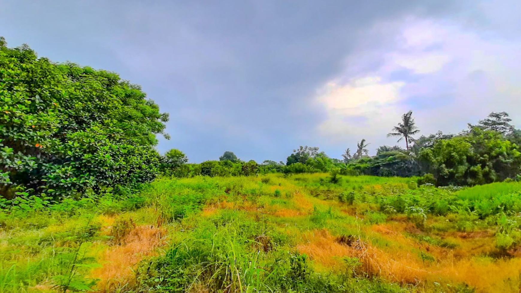 Tanah 1,3 Ha Mauk Sepatan Tangerang, dekat Daan Mogot Cengkareng 