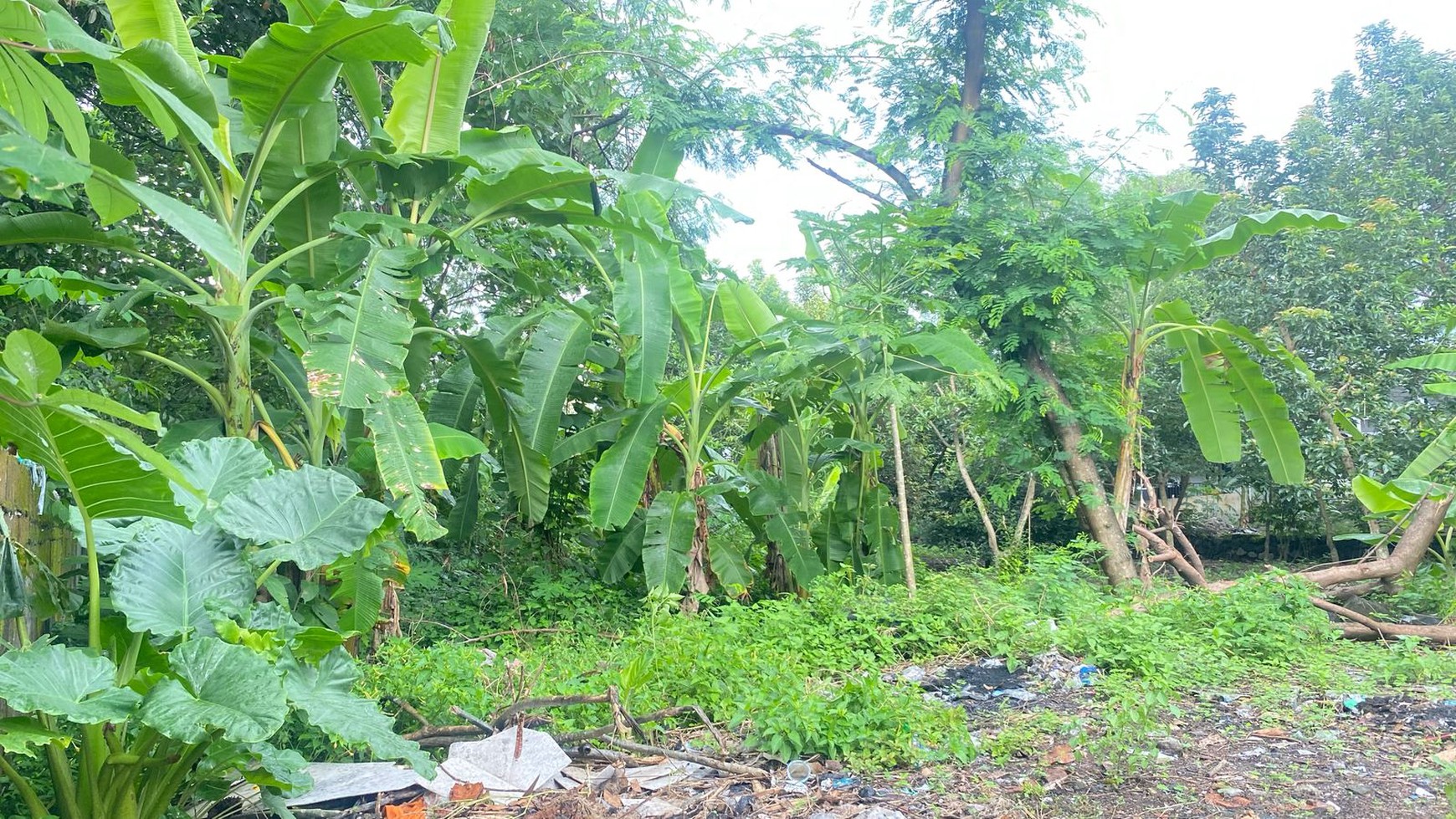 Tanah 640 Meter Lokasi Strategis Dekat Jalan Monjali Sinduadi Mlati Sleman