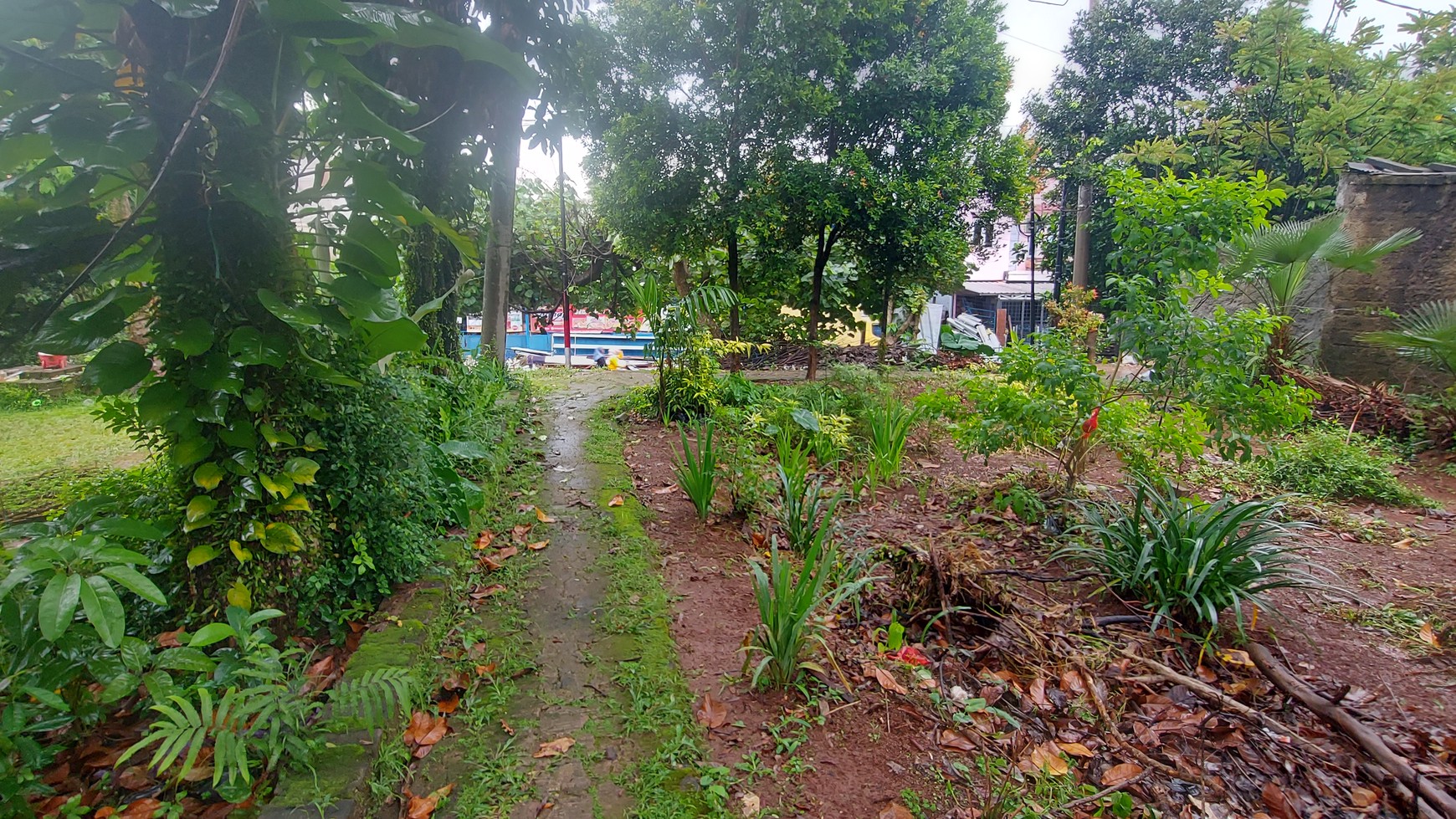 Tanah Hook di Daerah Pengasinan Depok, Jawa Barat