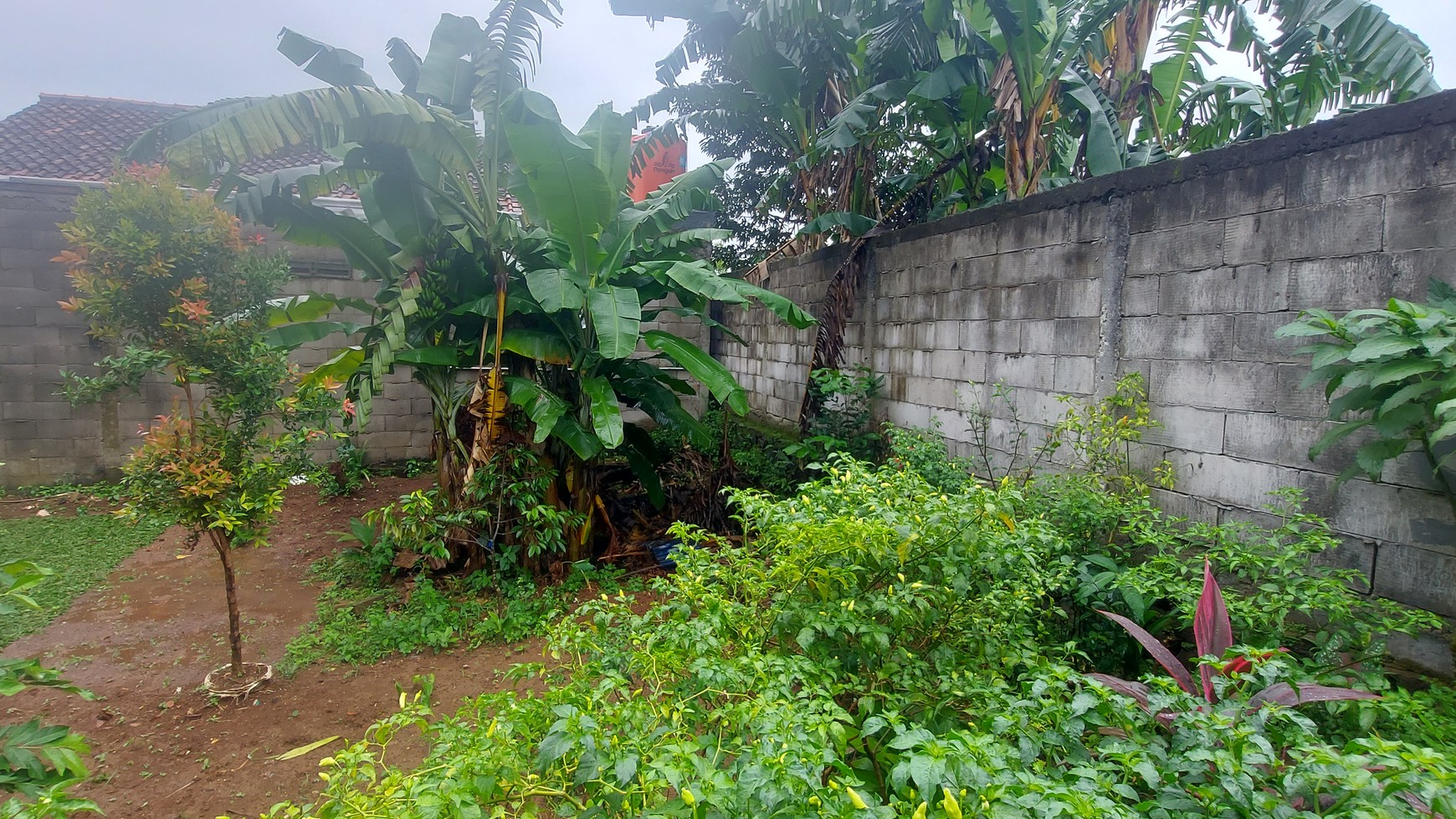 Tanah Hook di Daerah Pengasinan Depok, Jawa Barat