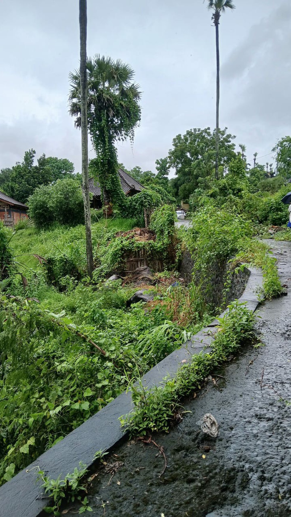 For Sale Exquisite And Unique Land In Amed