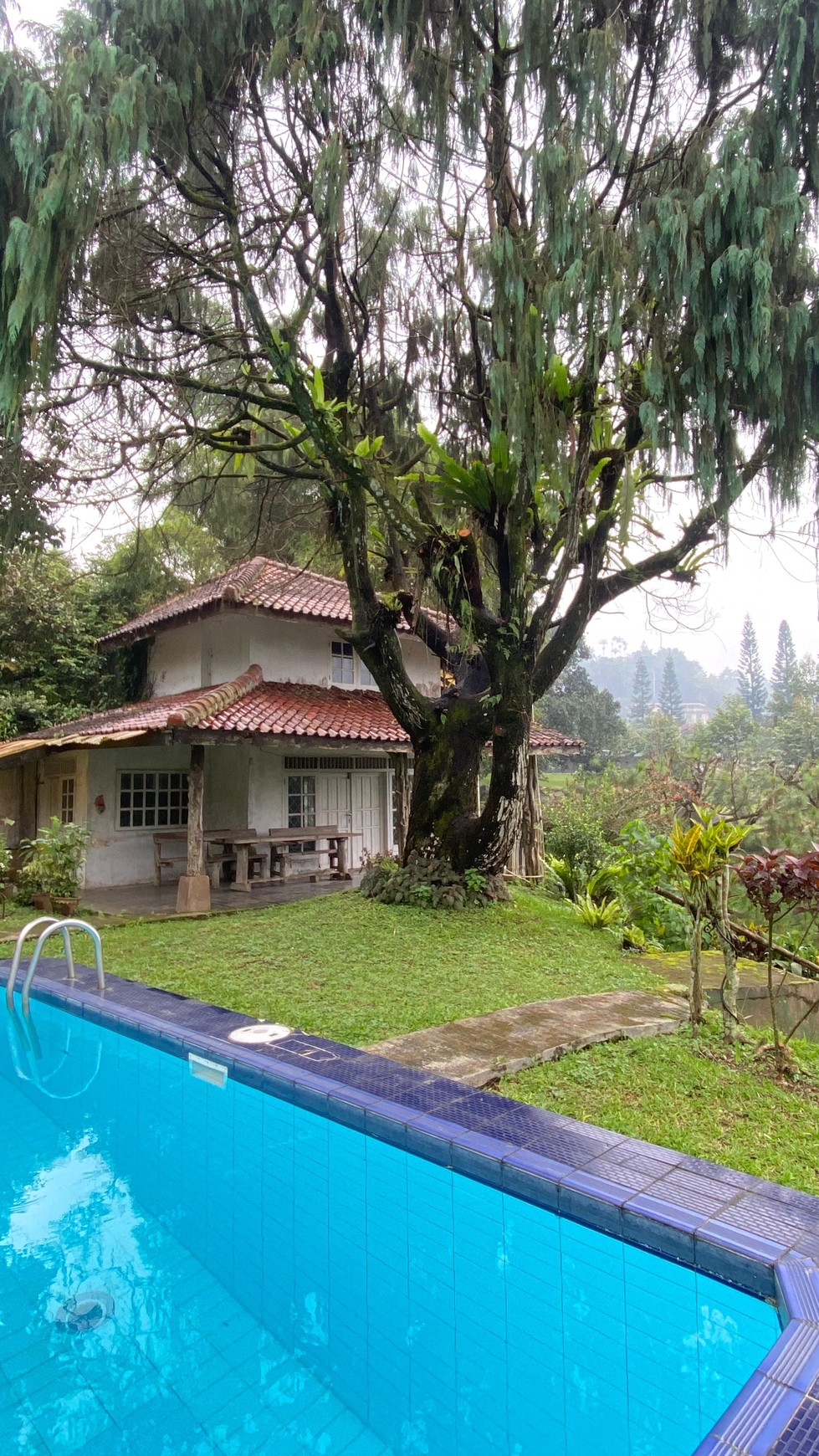 Villa Asri Super Luas di Puncak, Bogor Lokasi Strategis Selangkah ke Taman Safari Indonesia