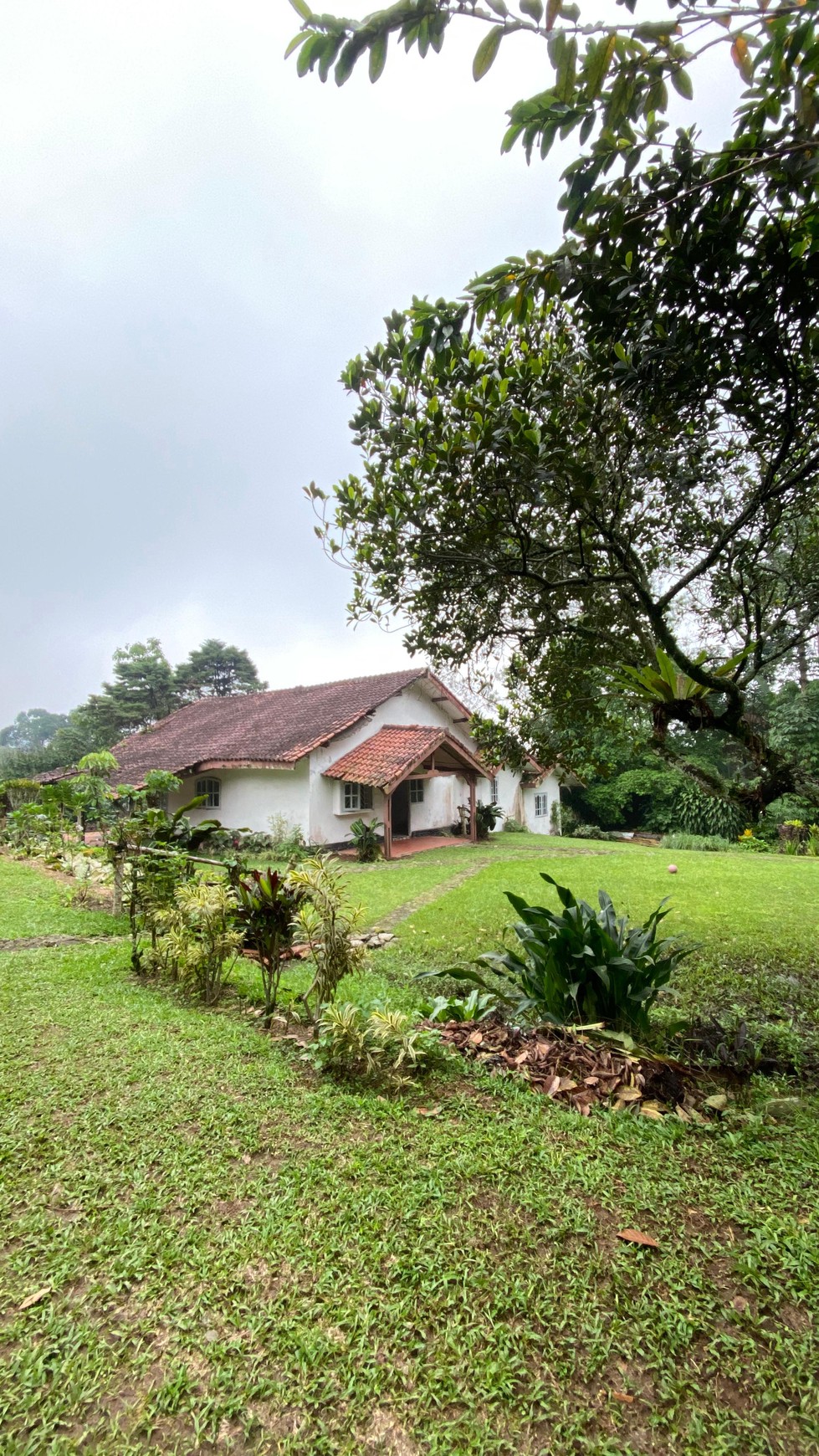 Villa Asri Super Luas di Puncak, Bogor Lokasi Strategis Selangkah ke Taman Safari Indonesia