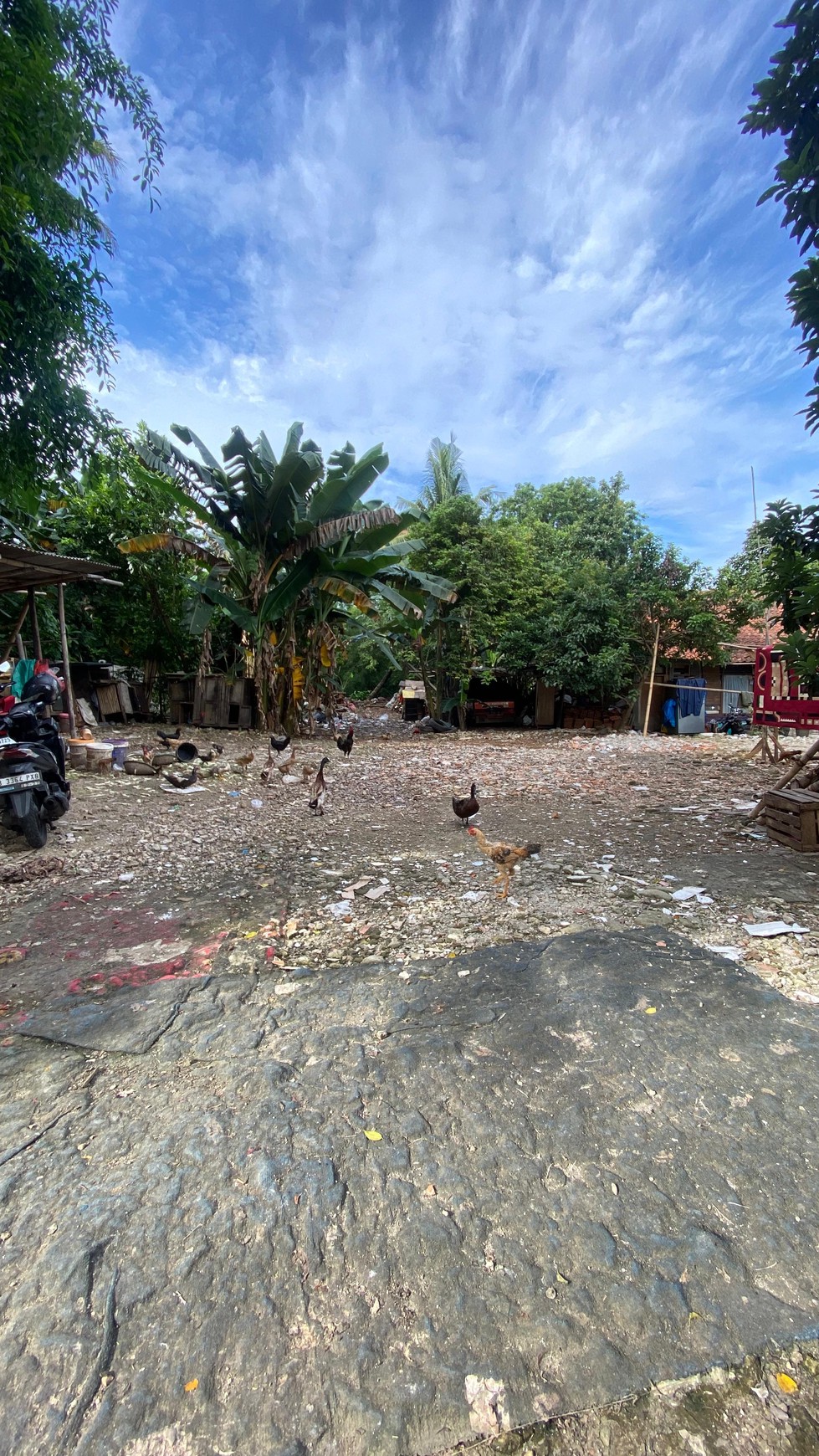 Tanah Siap Bangun Cocok Untuk Kos-kosan Atau Hunian di Beji