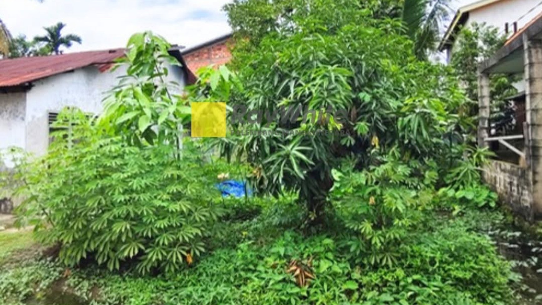DI JUAL RUMAH CANTIK BESERTA TANAH YANG LUAS