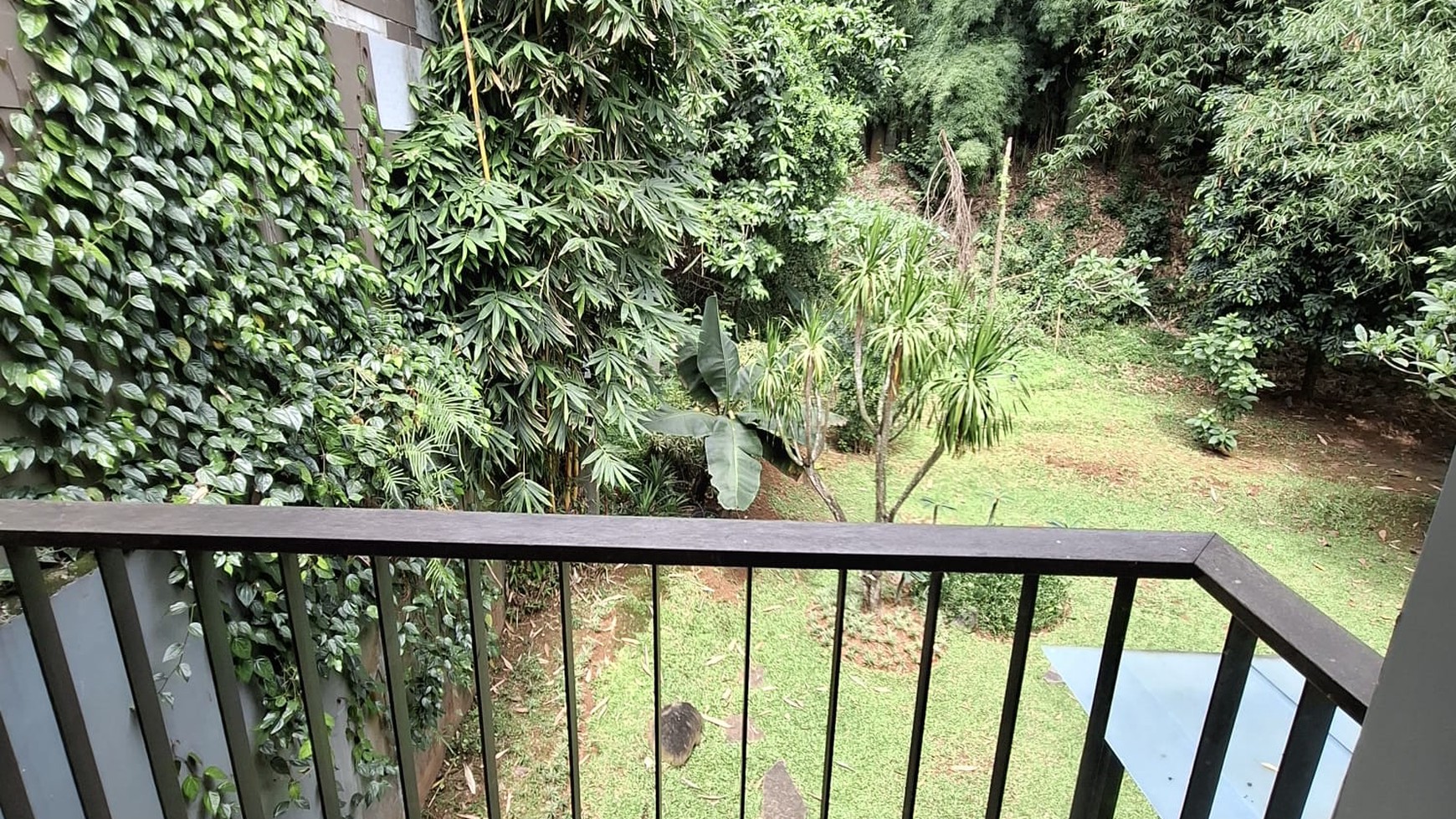 Dijual: Rumah Mandiri Mewah di BSD city