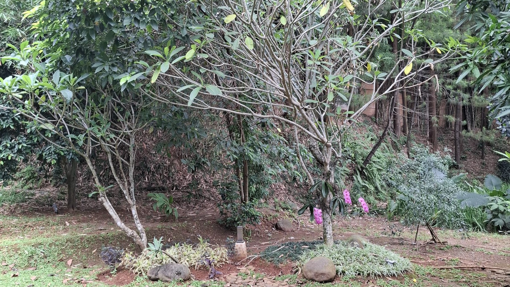 Dijual: Rumah Mandiri Mewah di BSD city