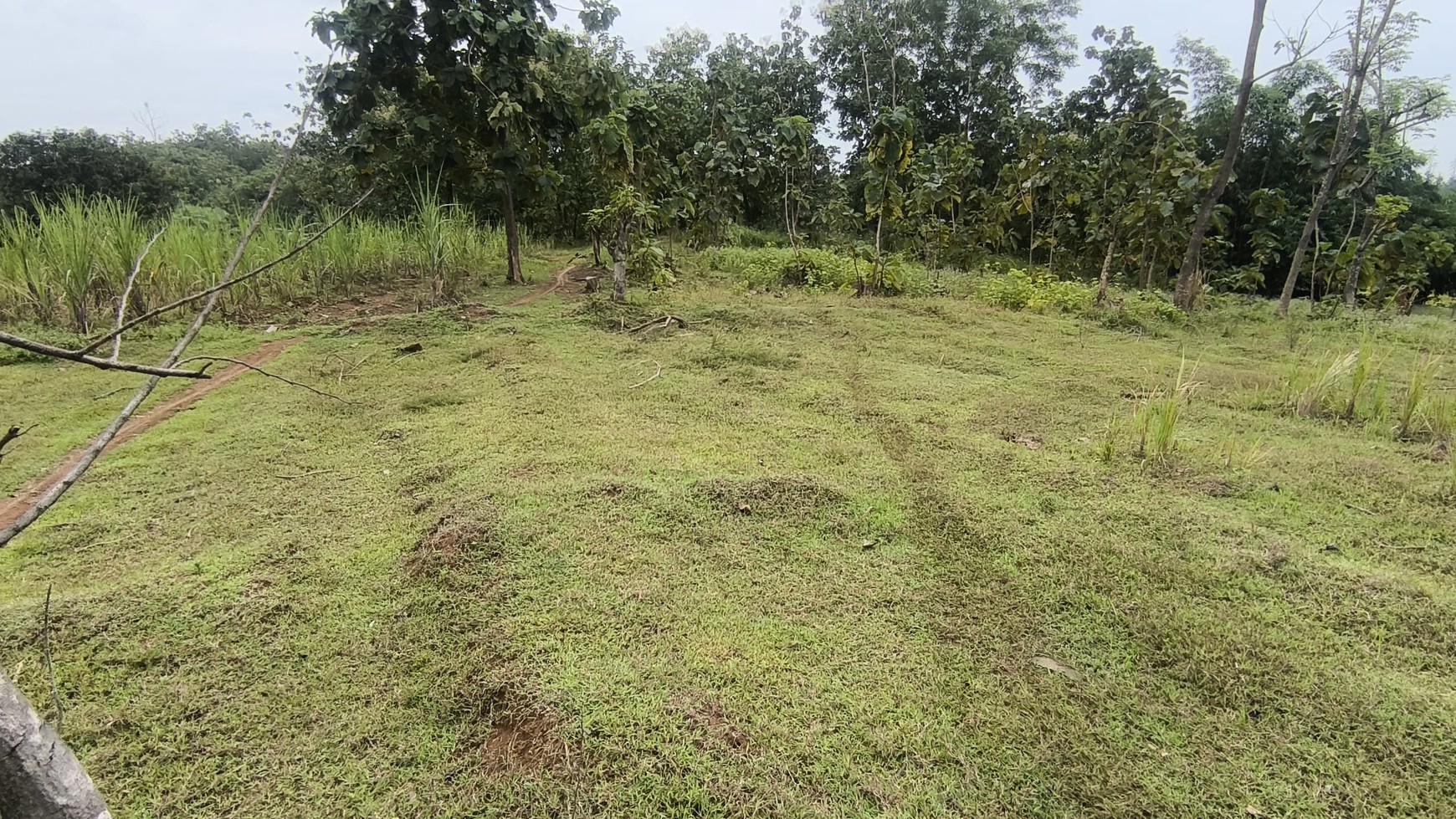Tanah Strategis Siap Bangun di Mainroad Kertajati Majalengka