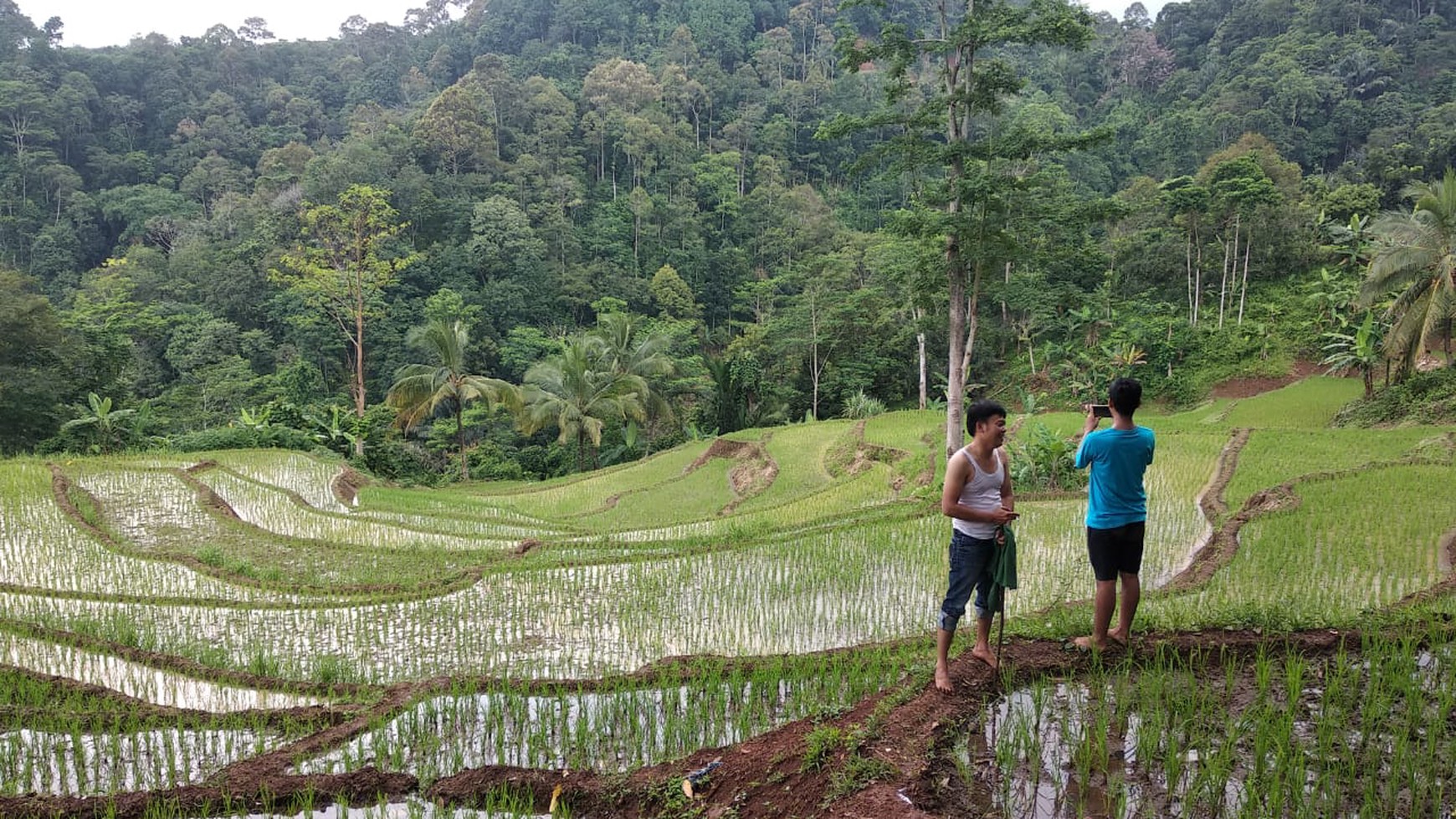 Lahan Bagus 5 Ha SHM di Lebak Banten ada Air Terjun, Duren dll