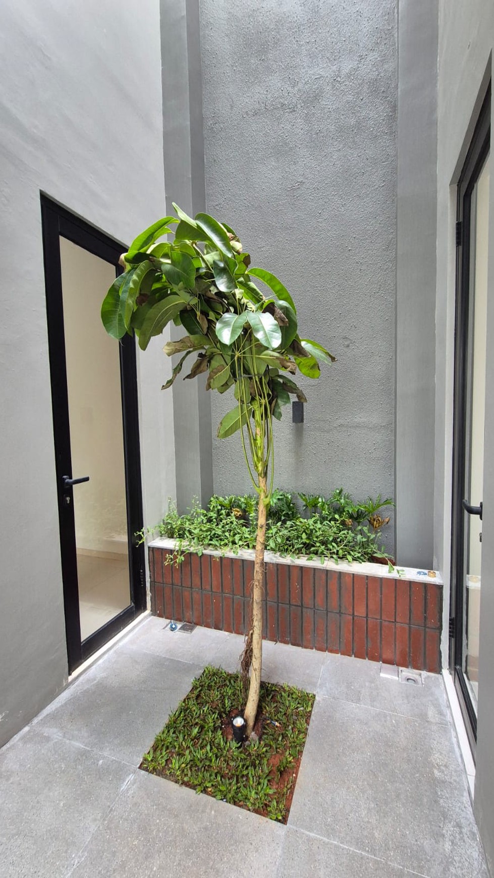 Rumah Baru Tropical Design Vanya Park BSD city Posisi hoek