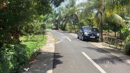 Land In Maid Road Lumbung Selemadeg Barat Tabanan Bali