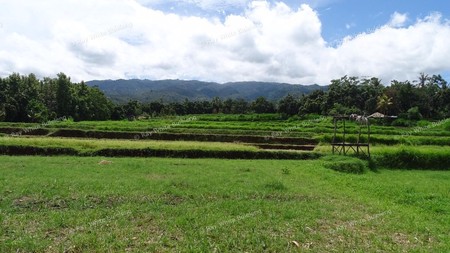 Land For Sale with Stunning View